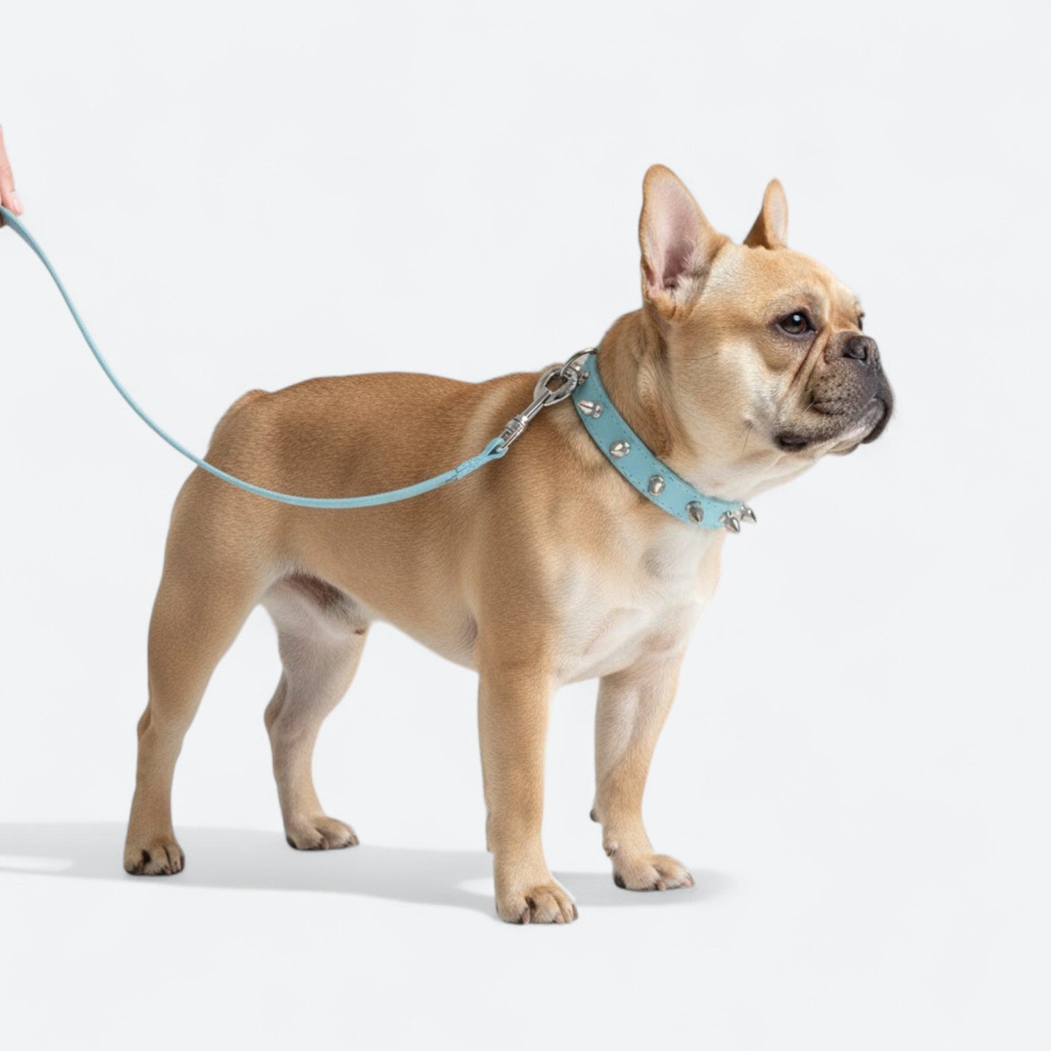 Punk-Style-Dog-Collar-Leash-Set.jpg