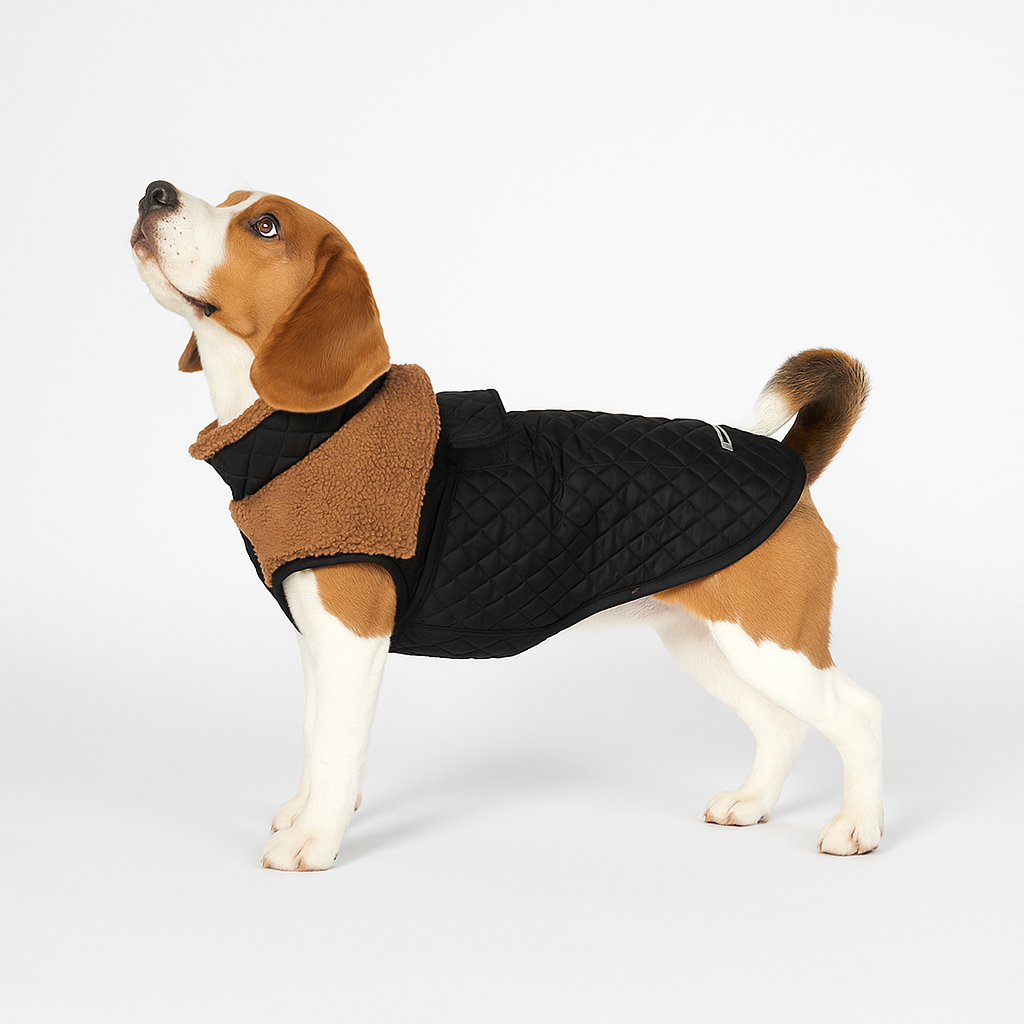 Quilted-Winter-Dog-Coat