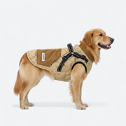 Dog wearing a quilted winter jacket with built-in harness