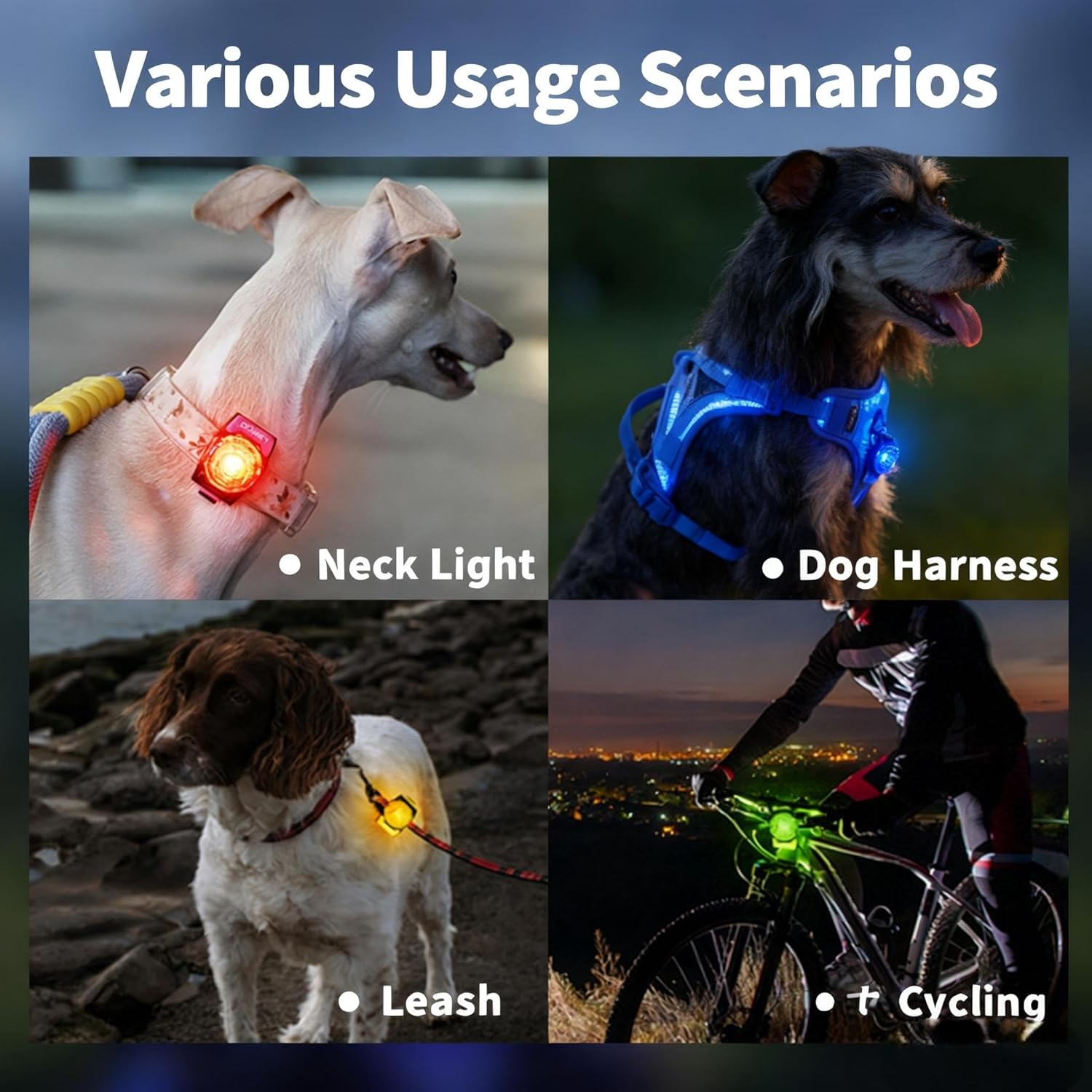 Rechargeable-LED-Dog-Walking-Collar.jpg