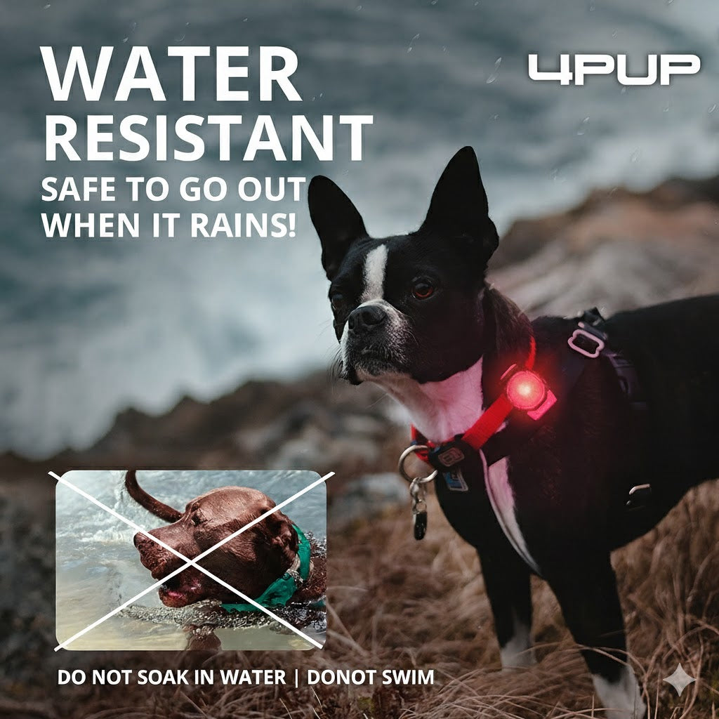Rechargeable-LED-Dog-Walking-Collar.jpg