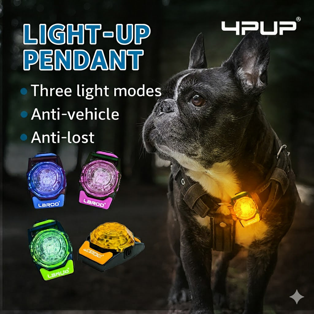 Rechargeable-LED-Dog-Walking-Collar.jpg