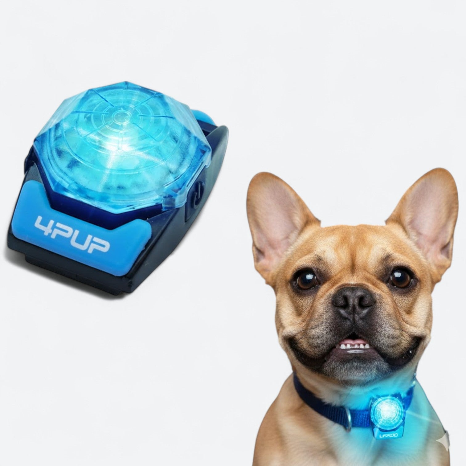 Rechargeable-LED-Dog-Walking-Collar.jpg