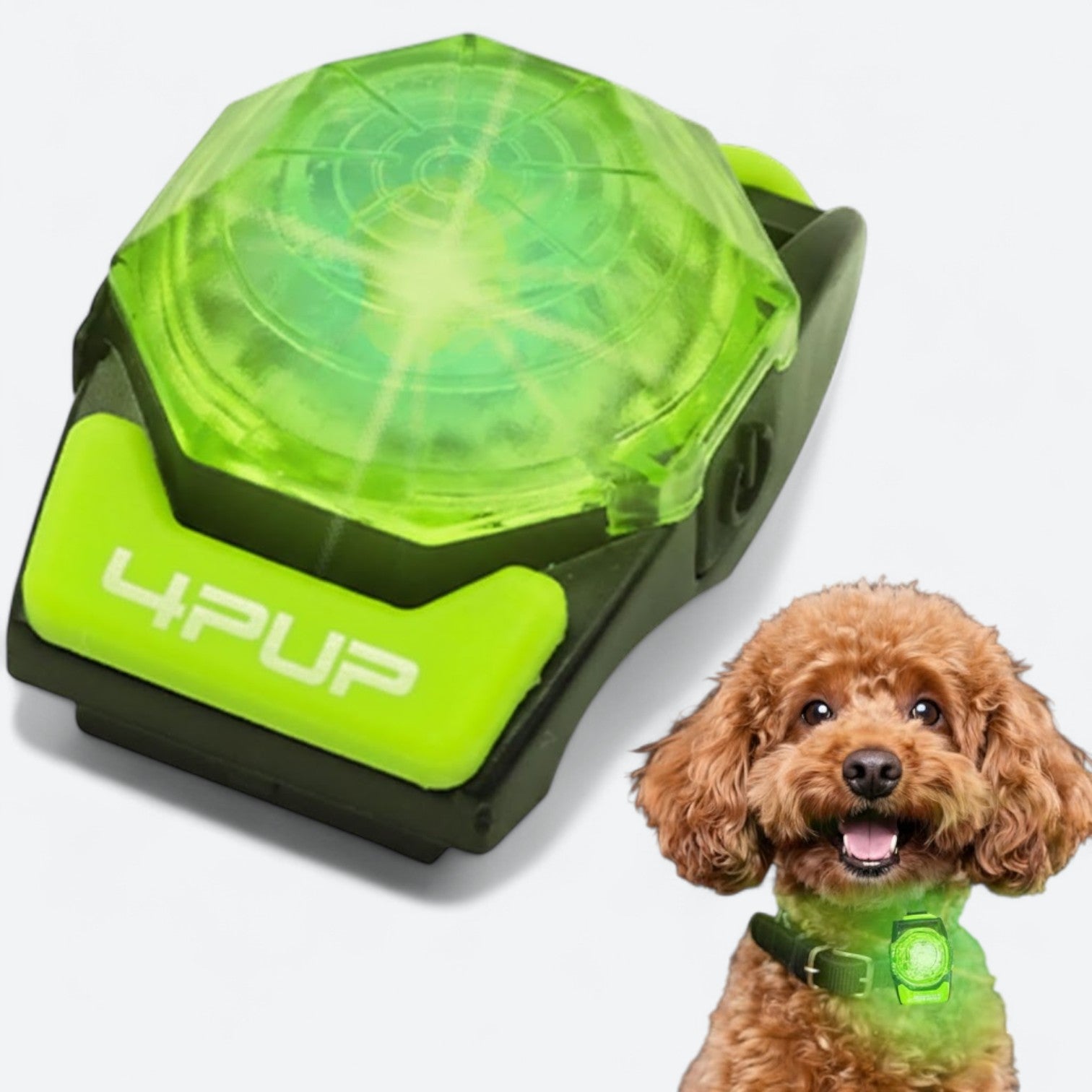 Rechargeable-LED-Dog-Walking-Collar.jpg