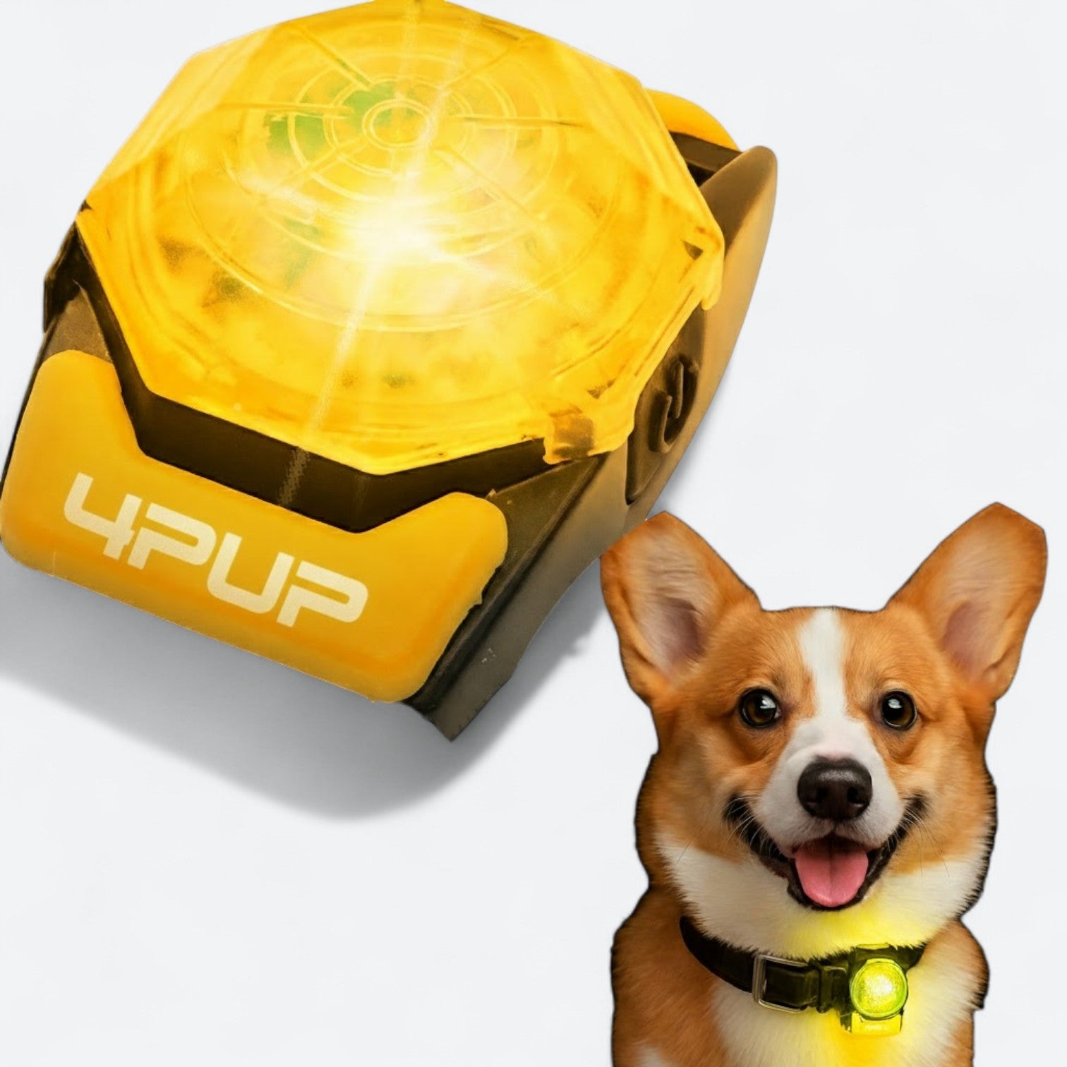 Rechargeable-LED-Dog-Walking-Collar.jpg