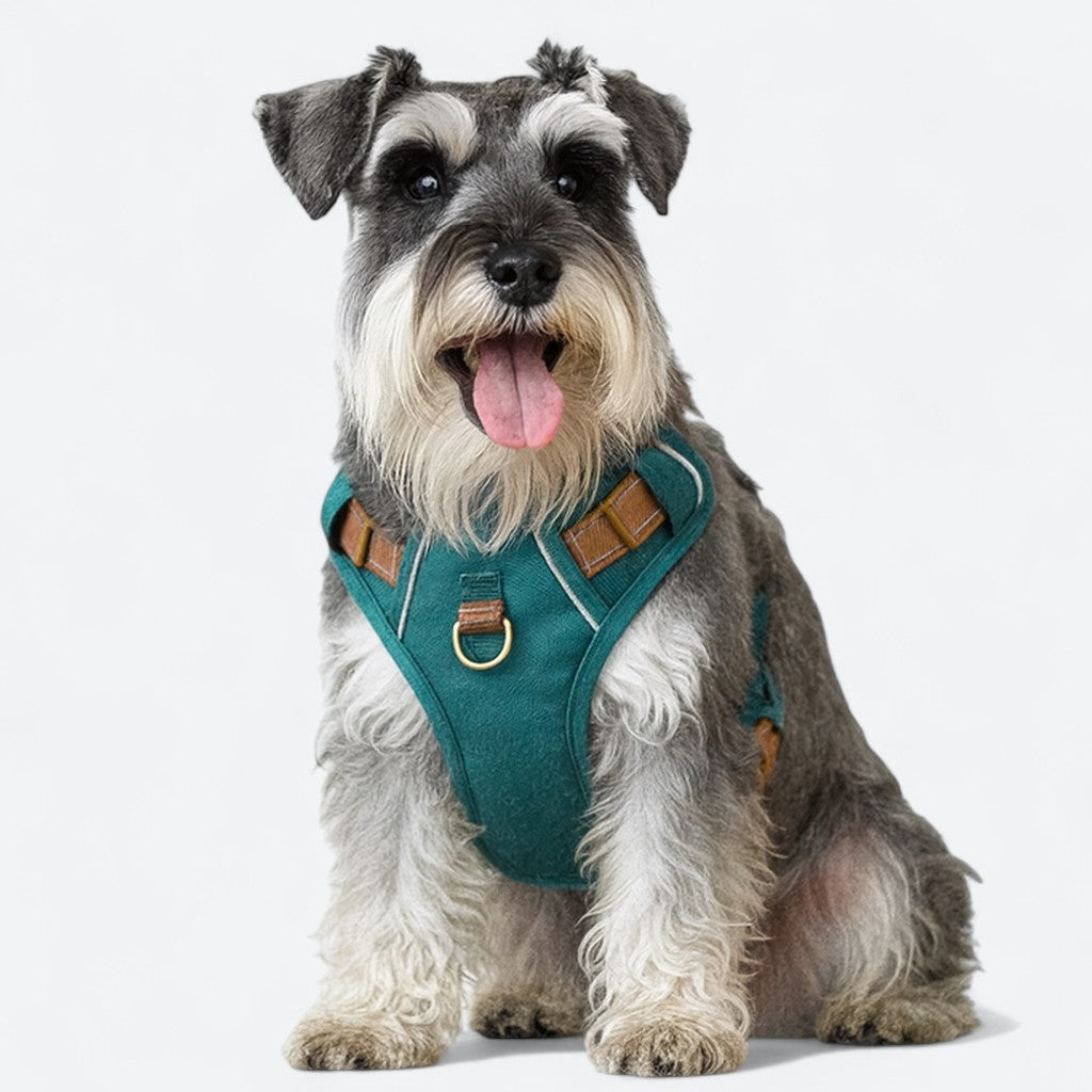Reflective Soft Padded Dog Harness