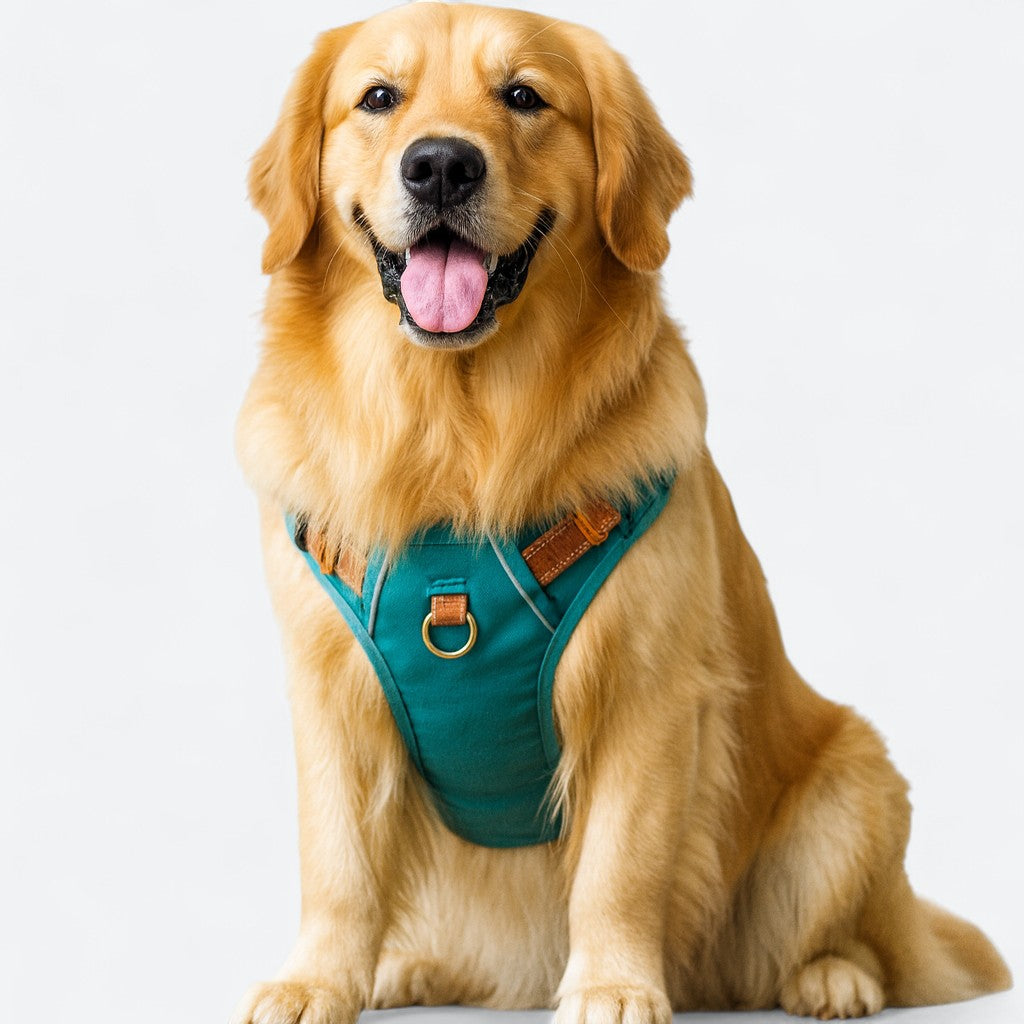 Reflective Soft Padded Dog Harness