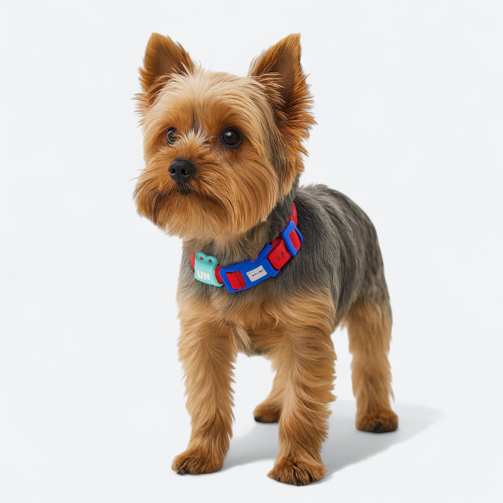 Reflective Waterproof Dog Collar