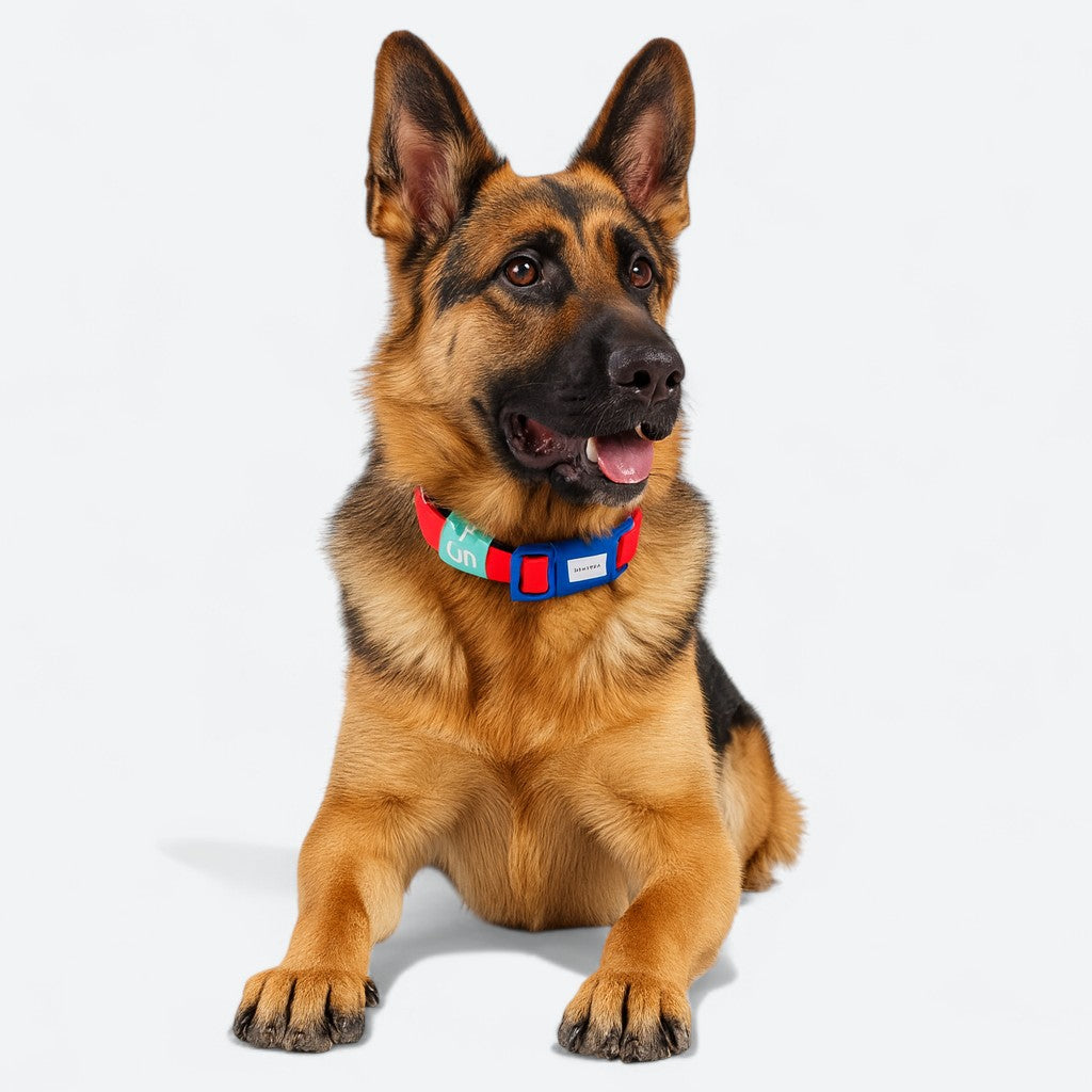 Reflective Waterproof Dog Collar