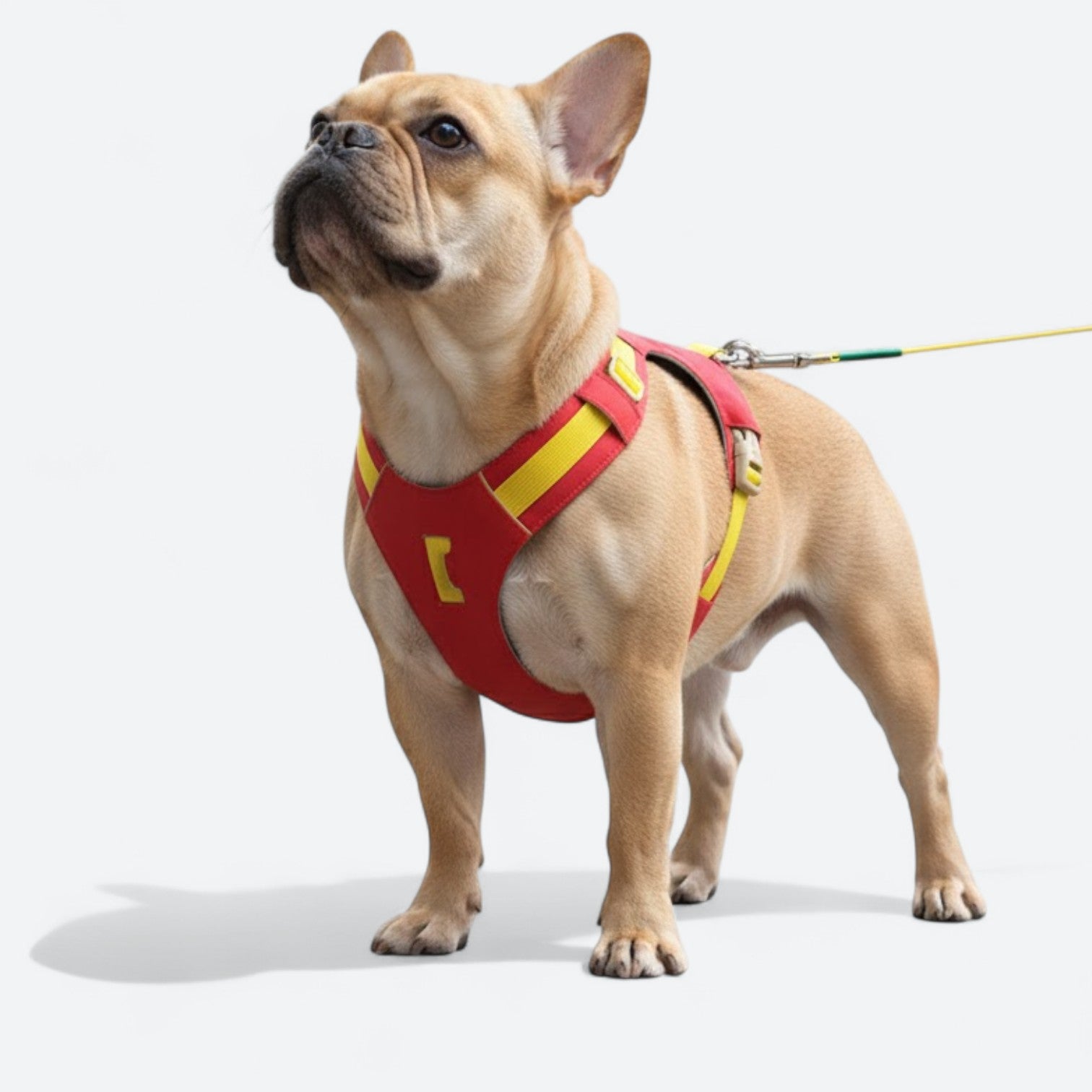 Reflective-Adjustable-Dog-Harness-Leash-Set.jpg