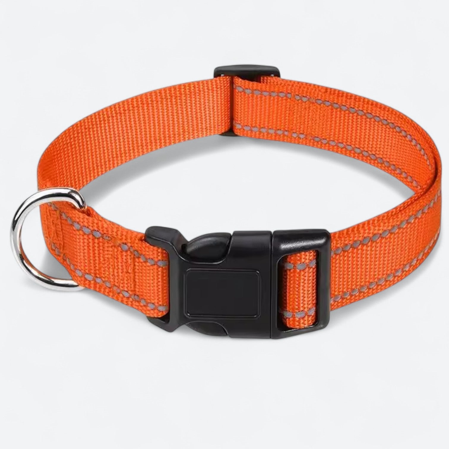 Reflective-Adjustable-Nylon-Dog-Collar.jpg