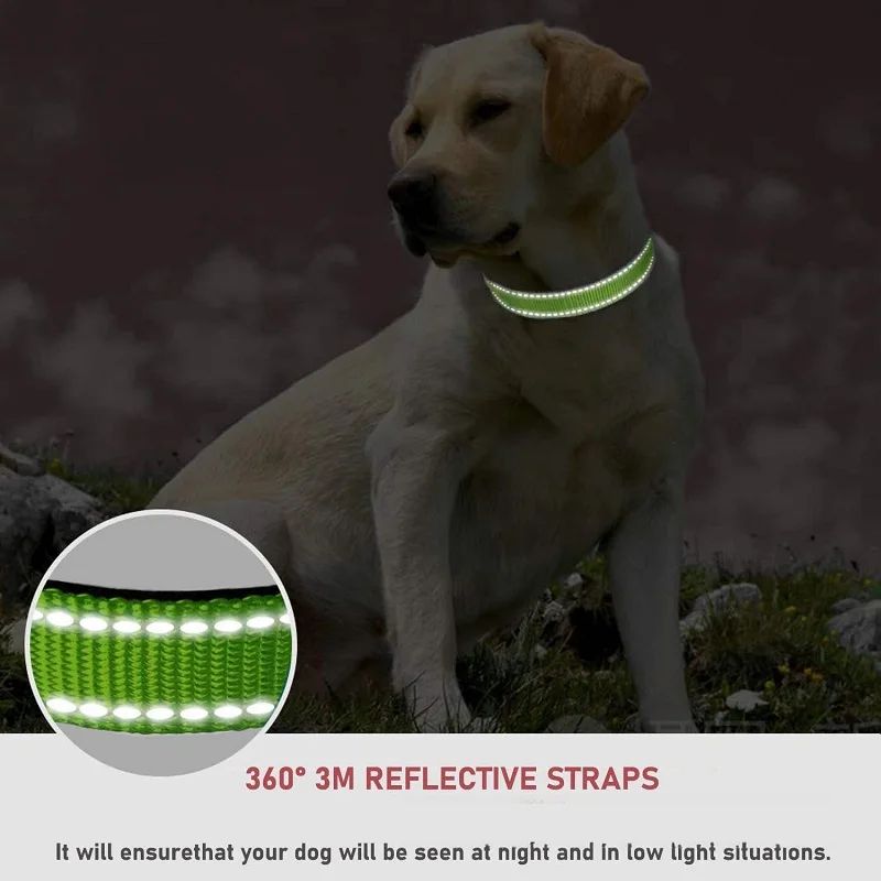Reflective-Adjustable-Nylon-Dog-Collar.jpg