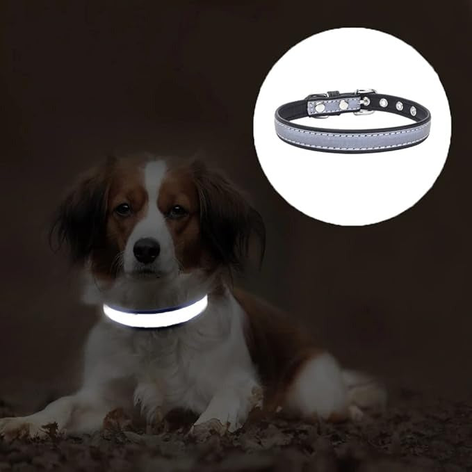 Reflective-Dog-Collar-Leash-Set.jpg