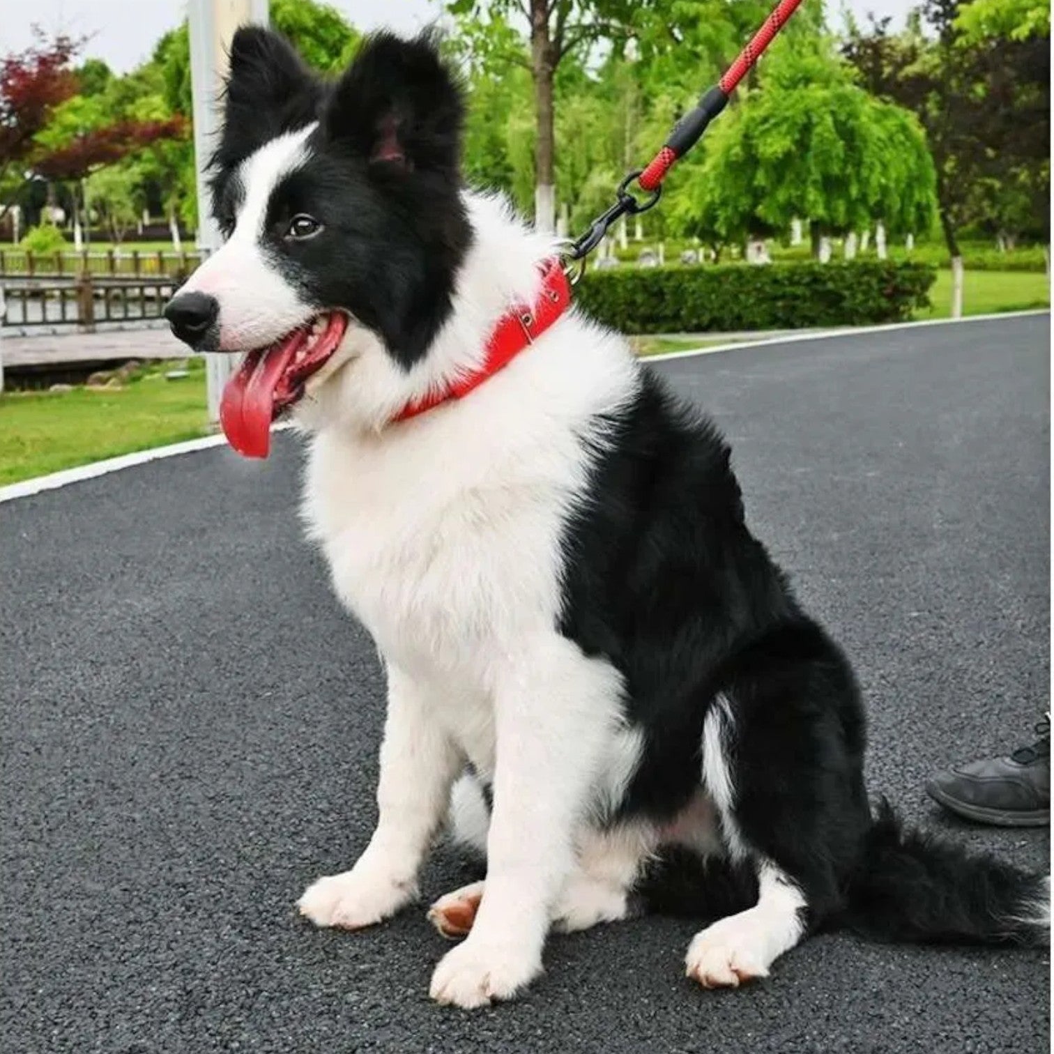 Reflective-Dog-Harness-Collar-Leash-Set.jpg