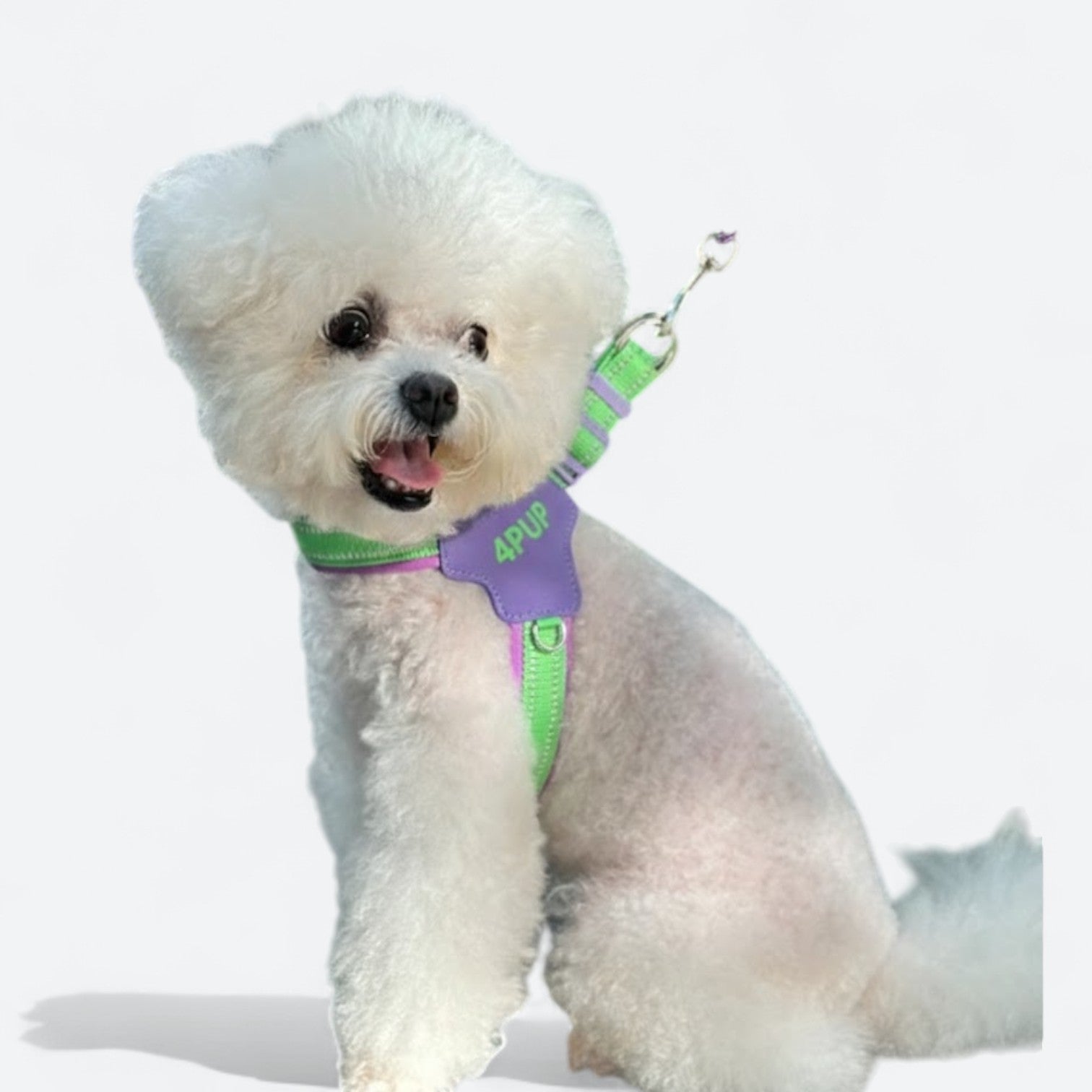 Reflective-Dog-Harness-Leash-Set.jpg