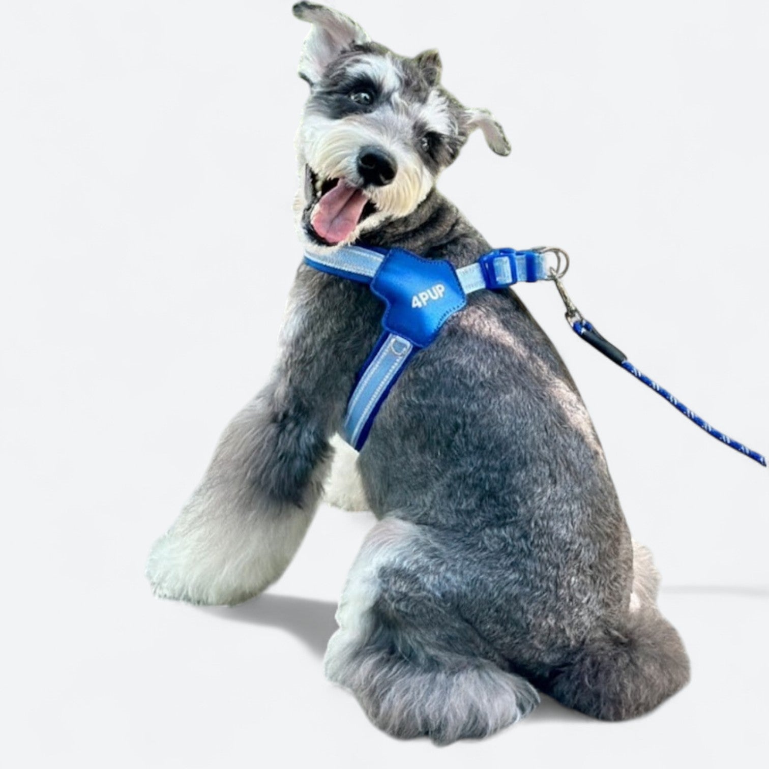Reflective-Dog-Harness-Leash-Set.jpg