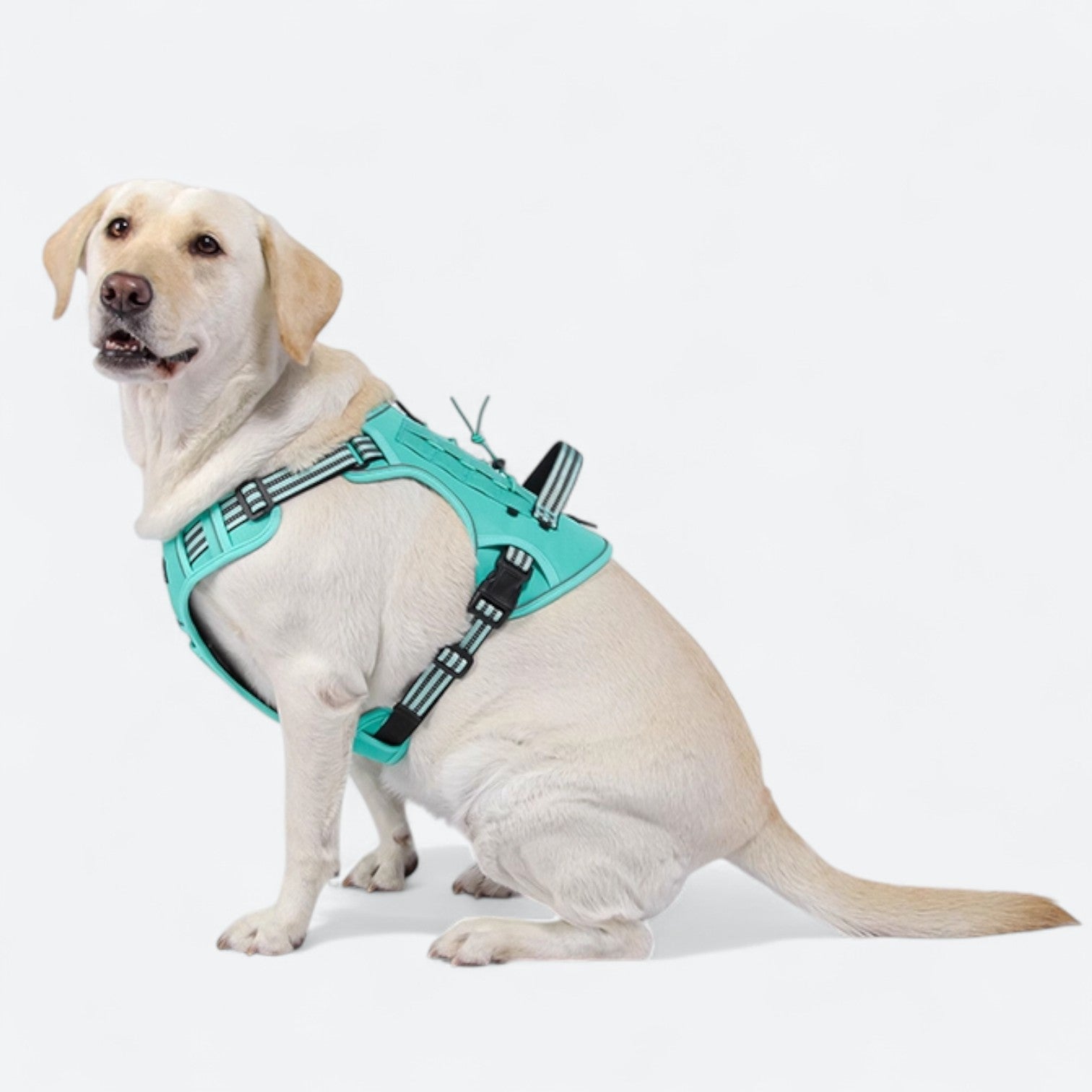 Reflective-Dog-Harness-Set.jpg