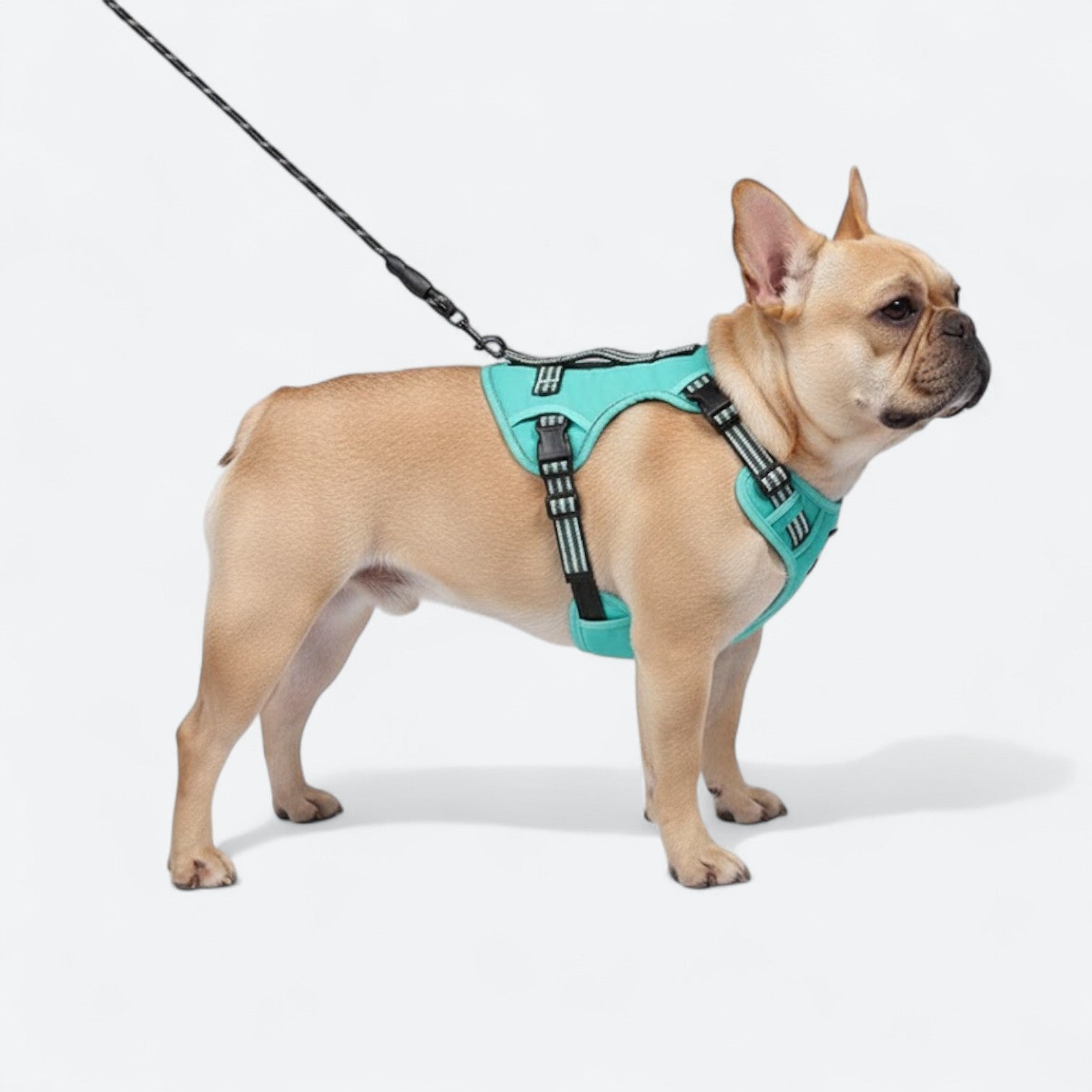 Reflective-Dog-Harness-Set.jpg