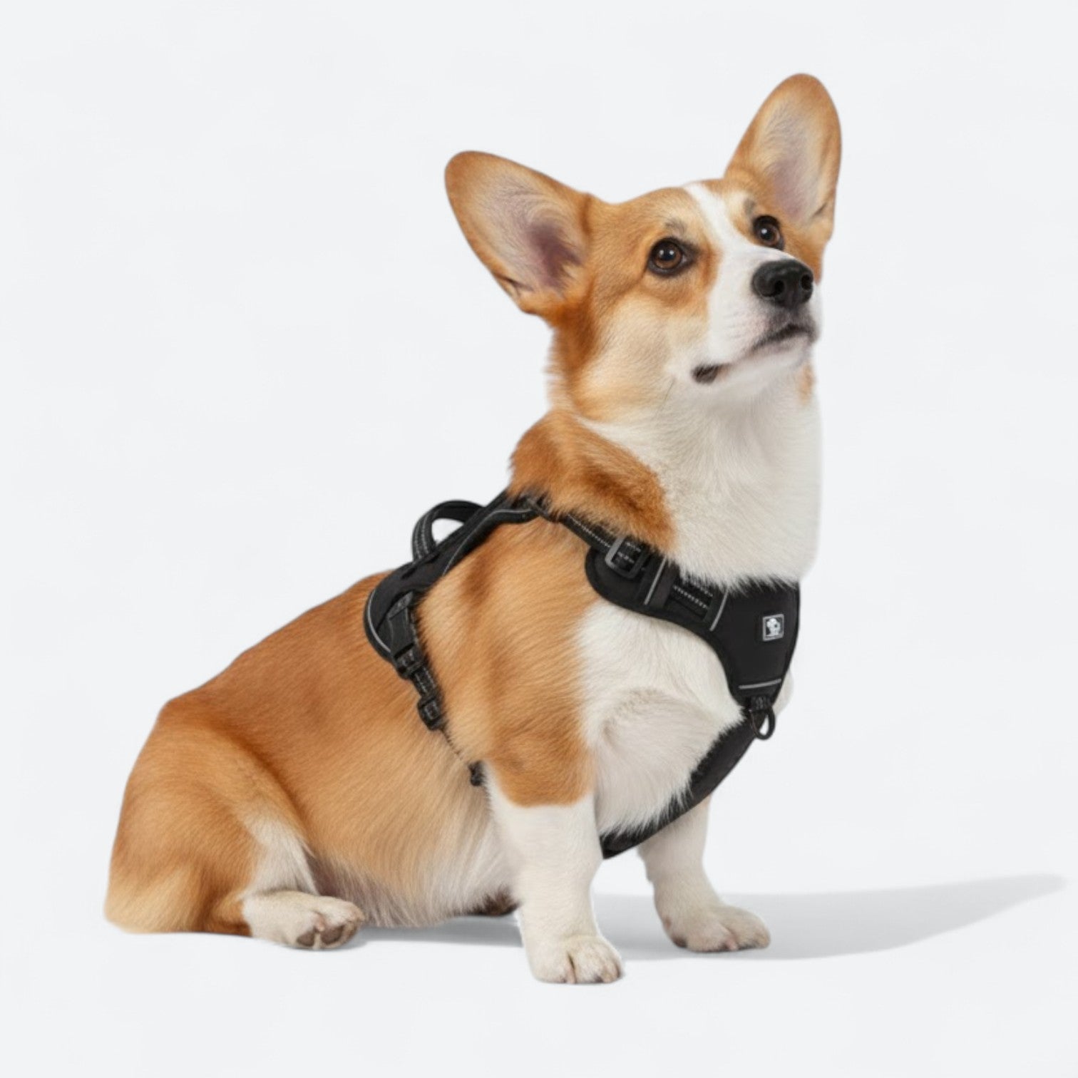 Reflective-Dog-Harness-Set.jpg