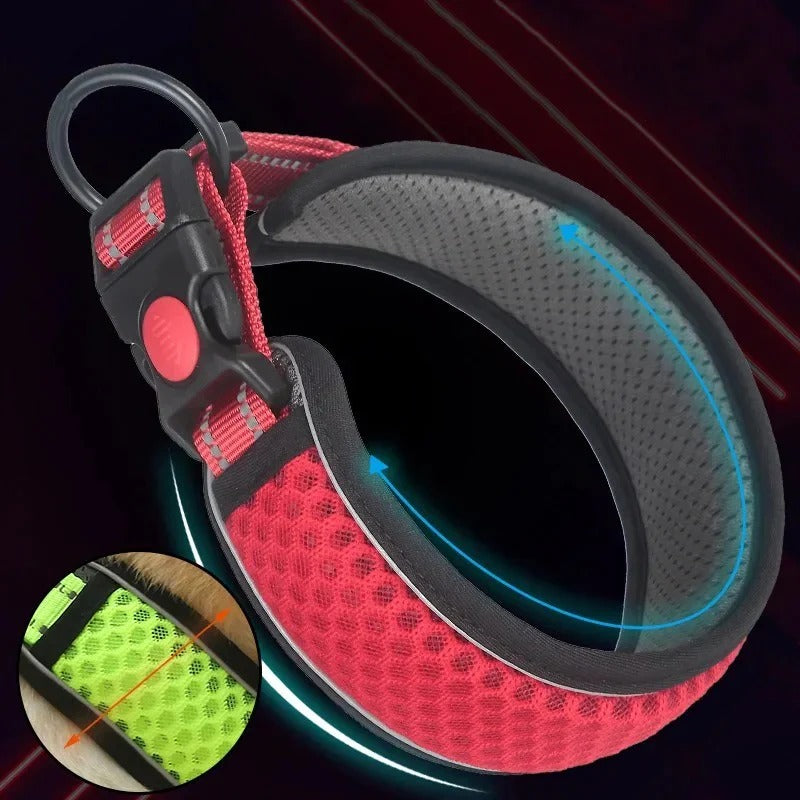 Reflective-No-Pull-Dog-Collar.jpg