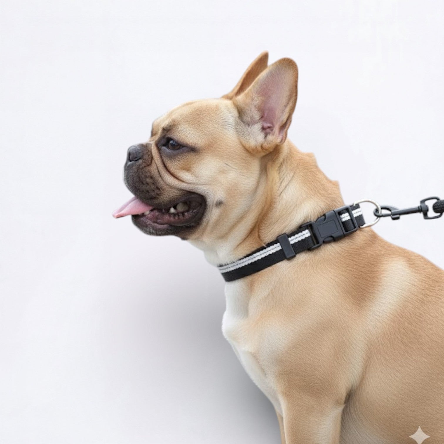 Reflective-Nylon-Dog-Collar-Leash-Set.jpg