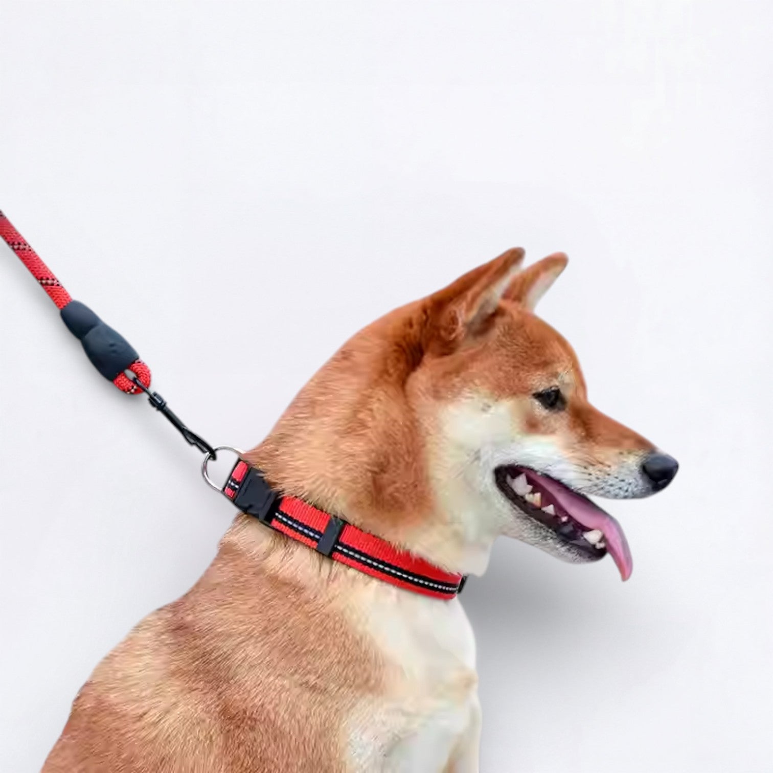 Reflective-Nylon-Dog-Collar-Leash-Set.jpg