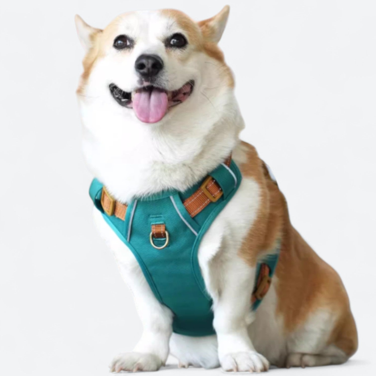 Reflective-Soft-Padded-Dog-Harness.jpg