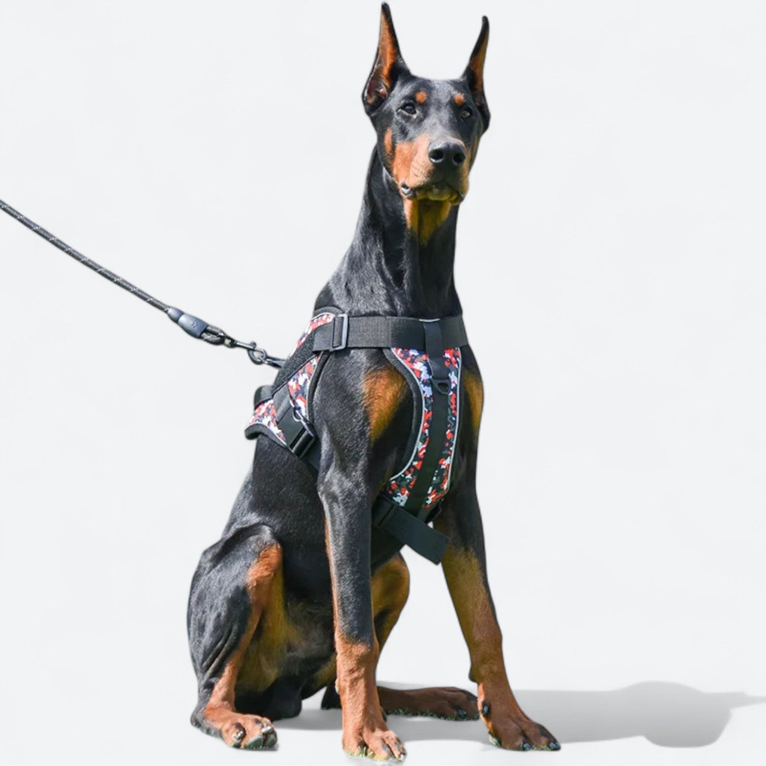 Reflective-Tactical-Dog-Harness-Leash-Set.jpg