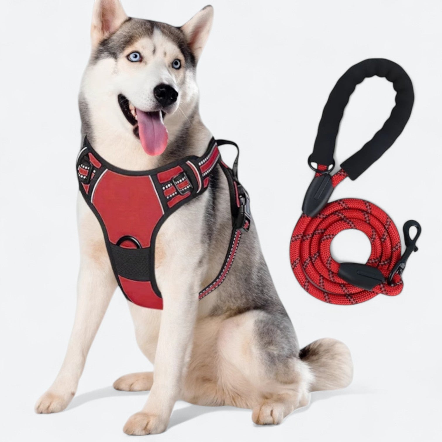 Reflective-Training-Dog-Harness-Leash-Set.jpg