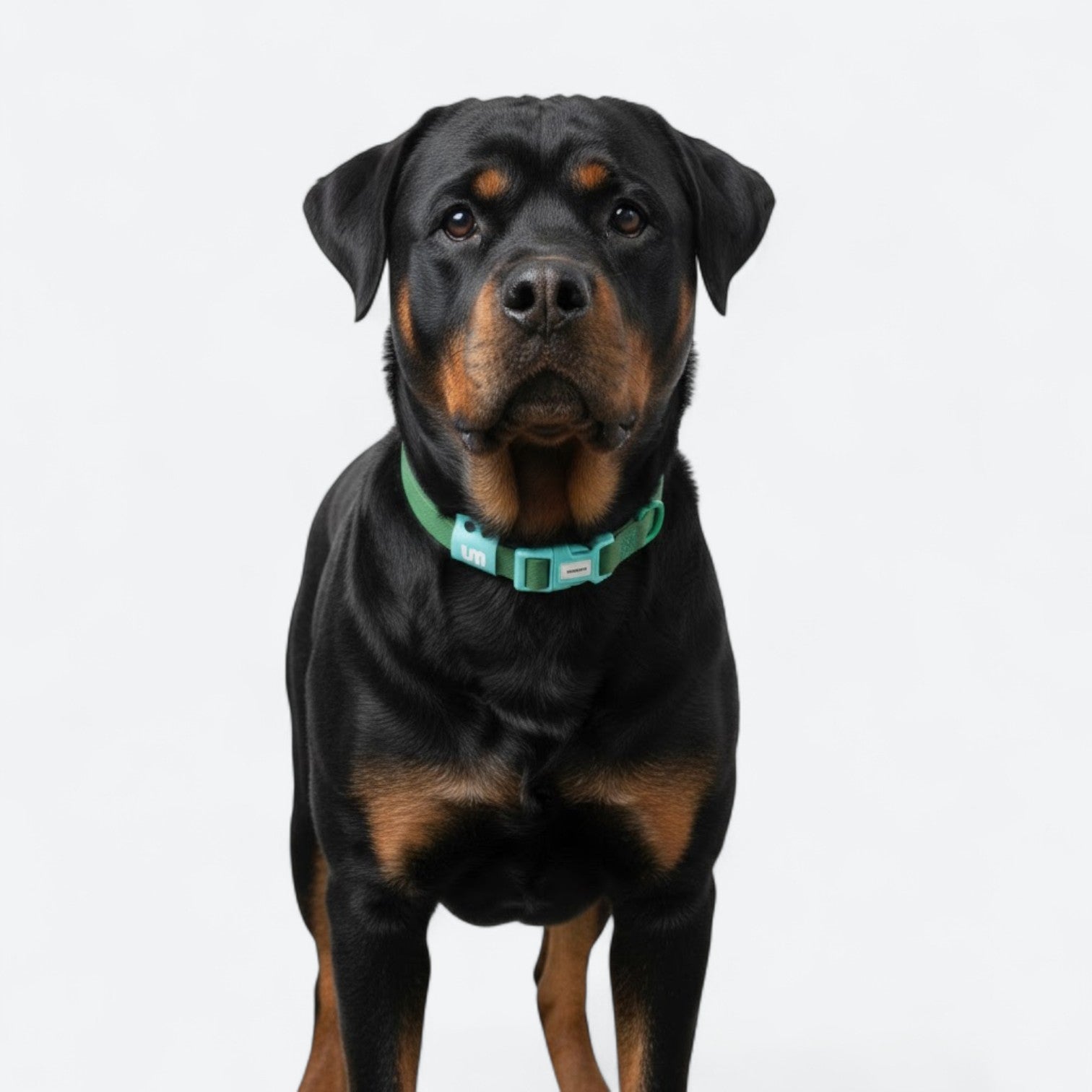 Reflective-Waterproof-Dog-Collar.jpg