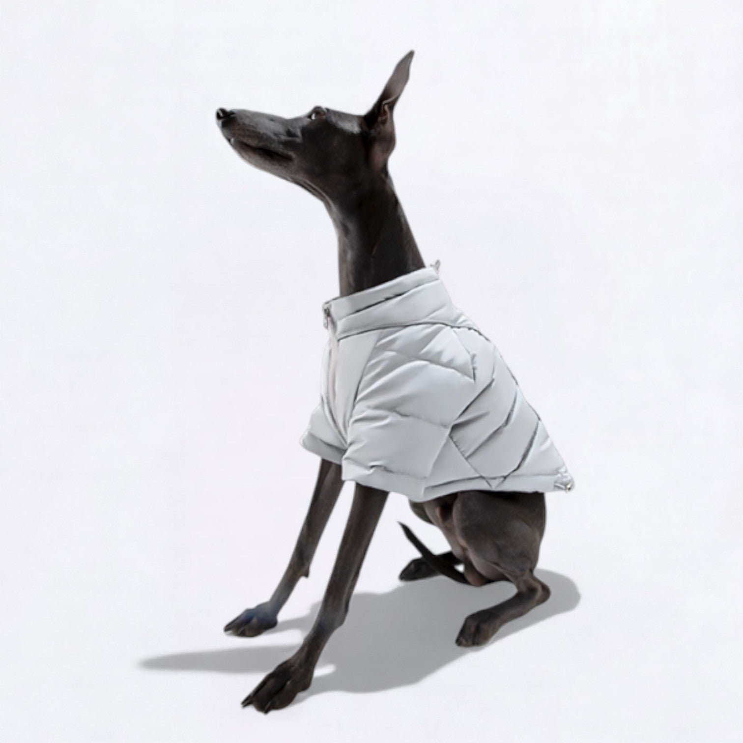 Reflective-Winter-Puffer-Dog-Jacket.jpg