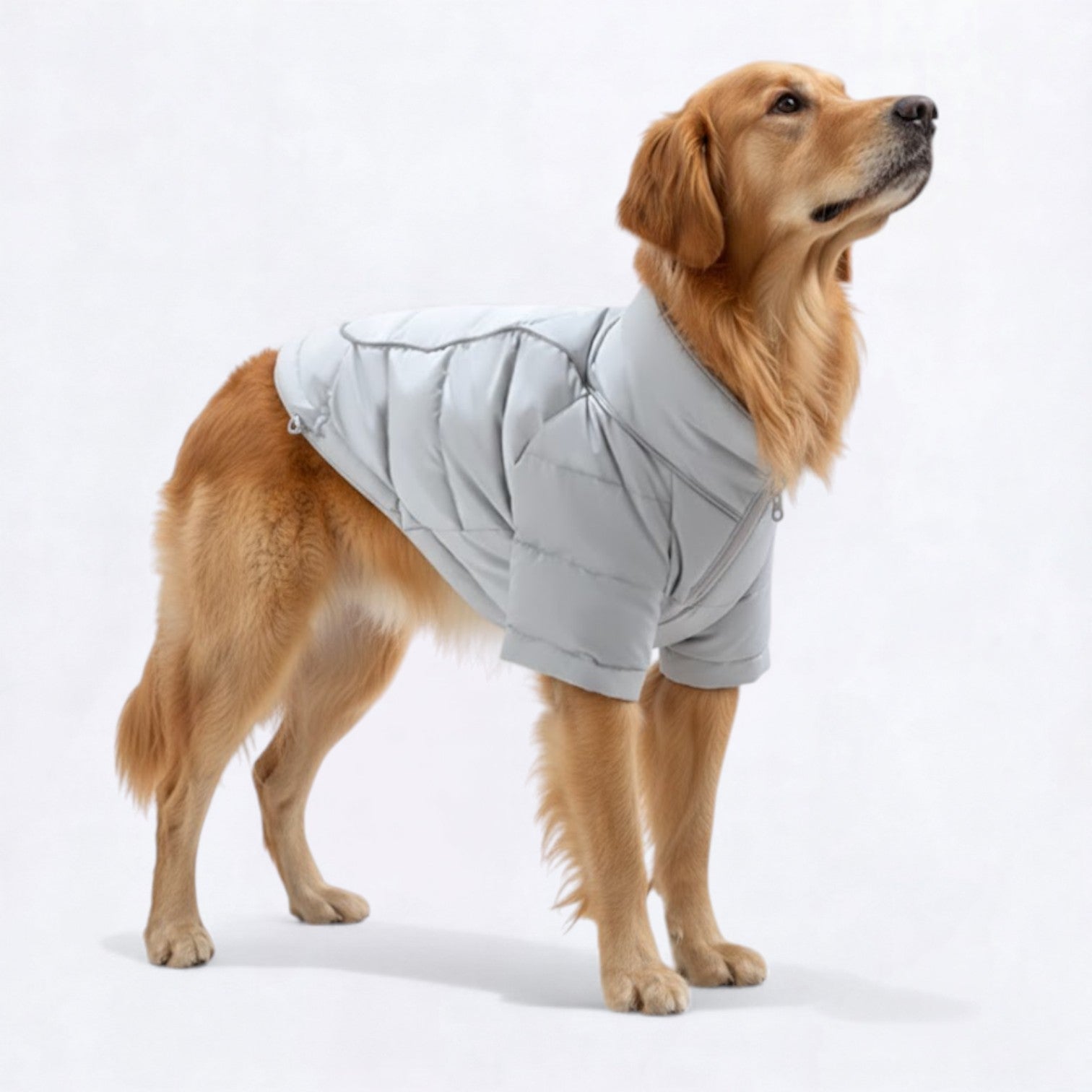 Reflective-Winter-Puffer-Dog-Jacket.jpg