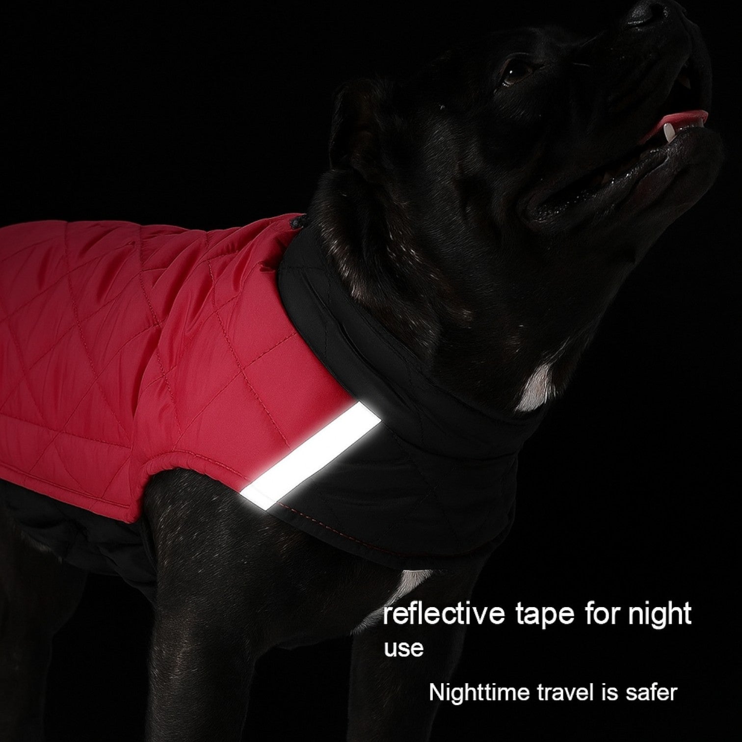 Reversible-Winter-Dog-Jacket.jpg