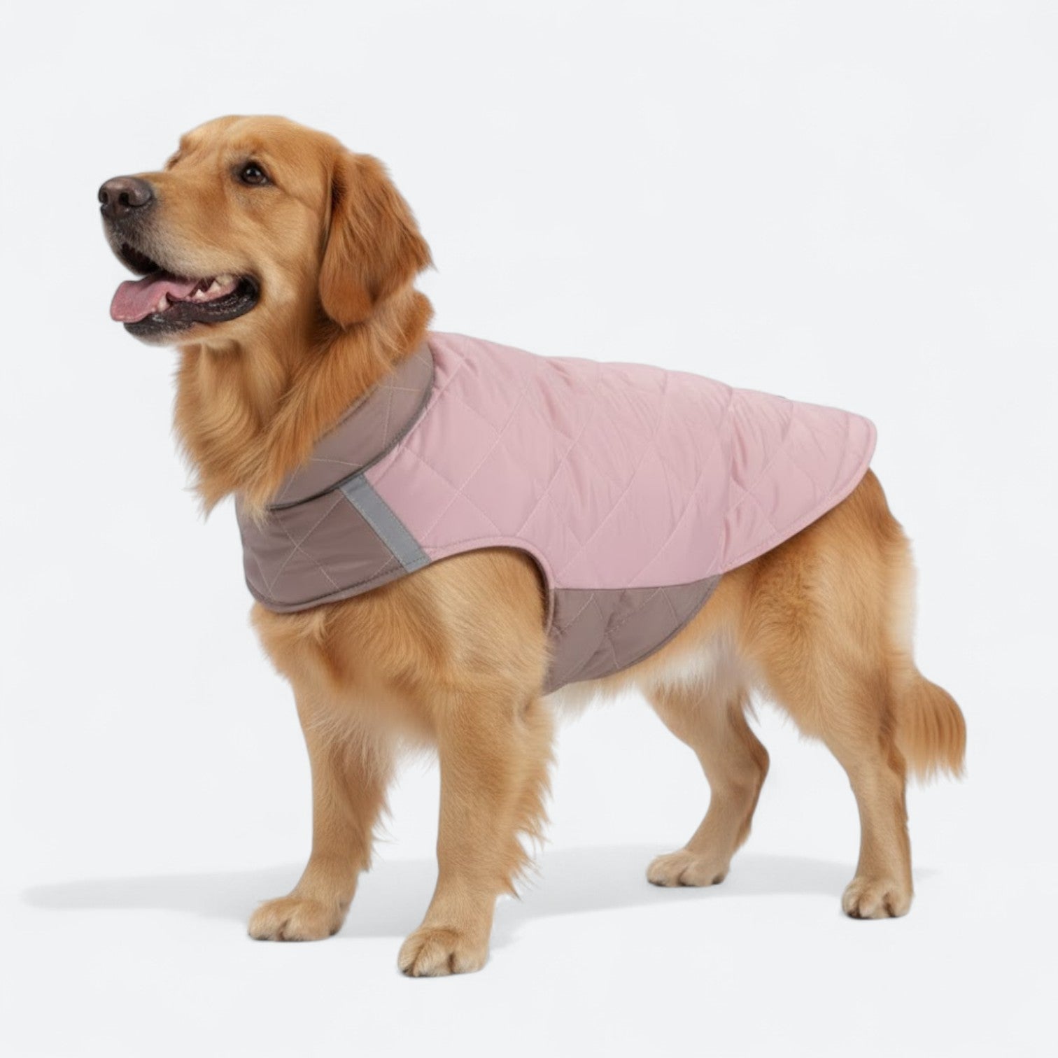 Reversible-Winter-Dog-Jacket.jpg