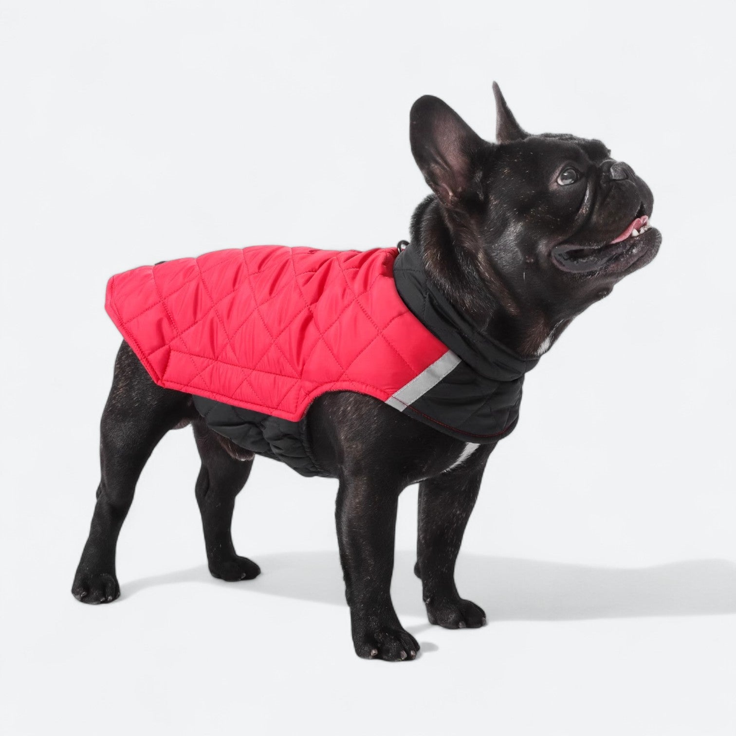 Reversible-Winter-Dog-Jacket.jpg