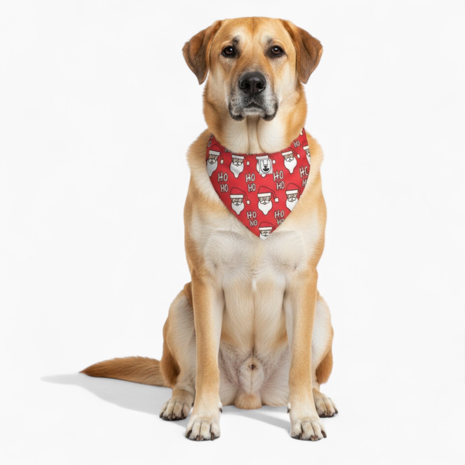 Ruby - soft and breathable Dog Bandana