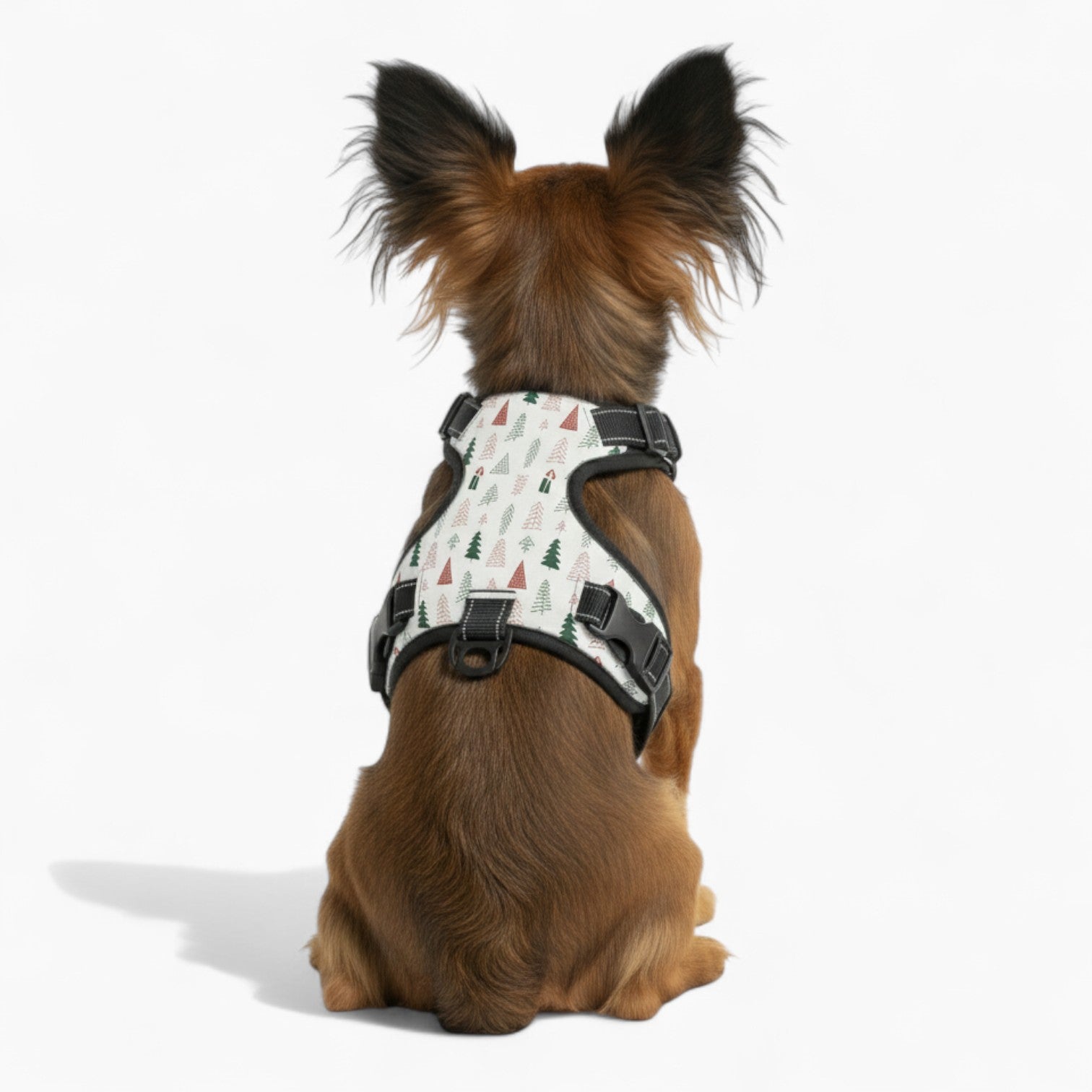 Rusty no-pull Dog Harness and leash