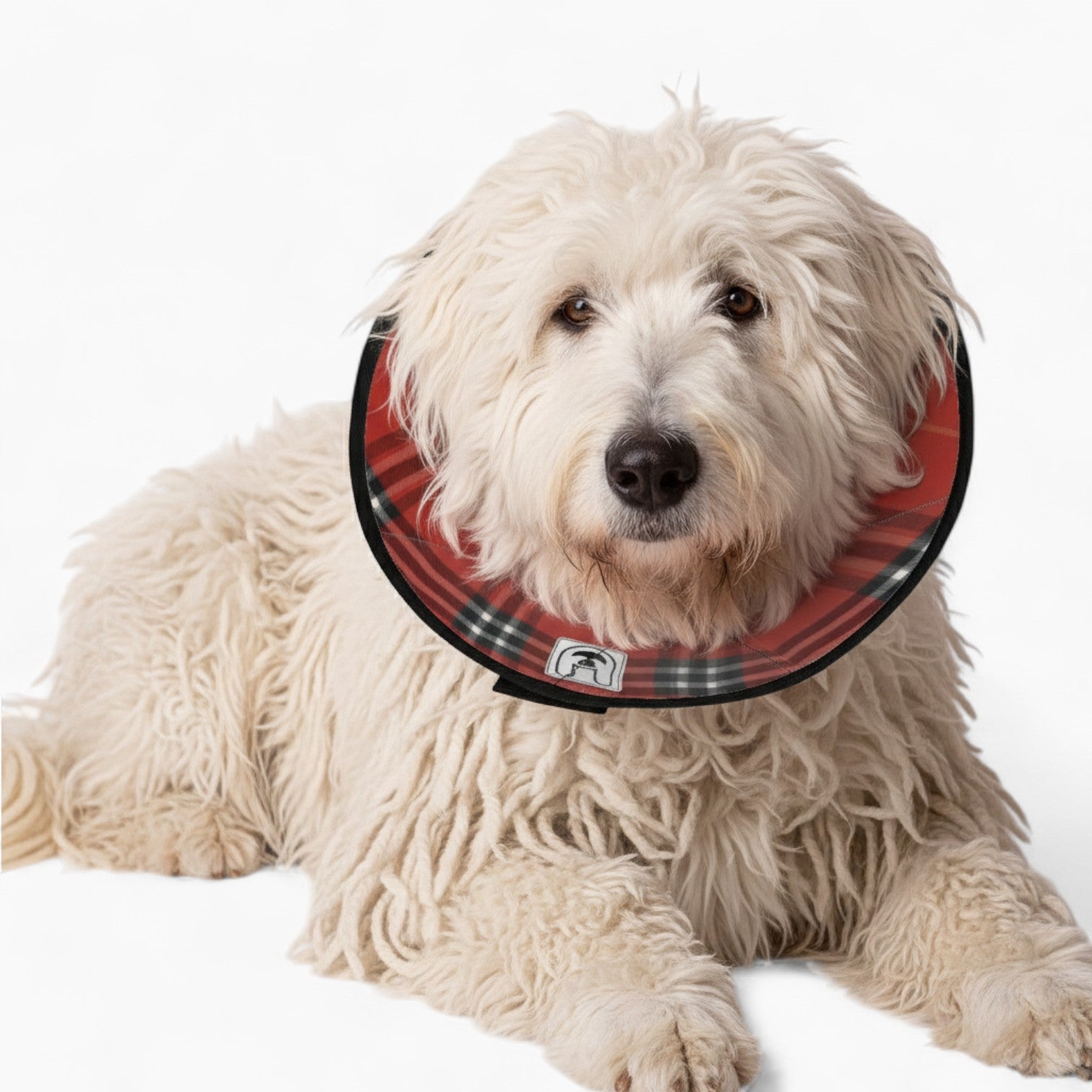 Penny - Soft Dog Cone & Elizabethan Collar