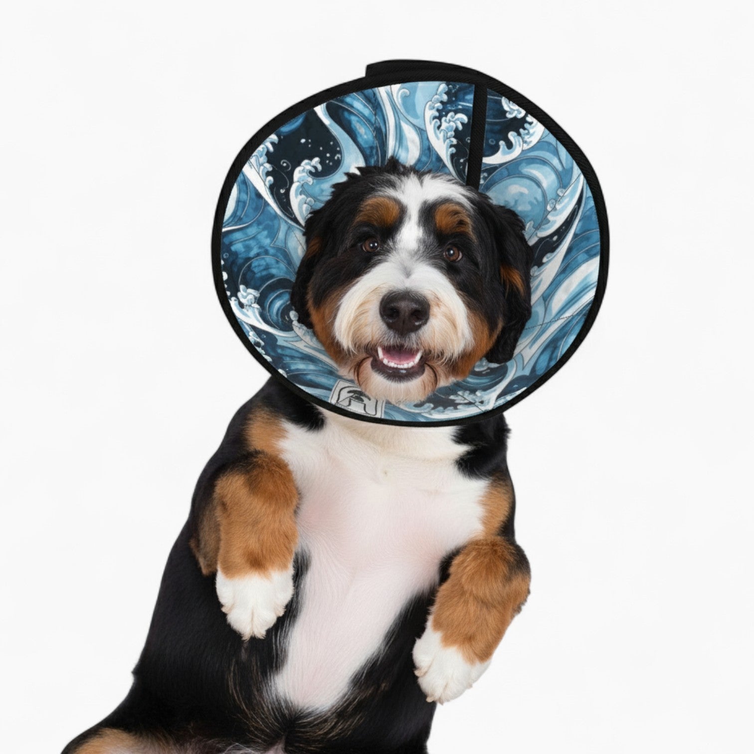 Sam - Soft Dog Cone & Elizabethan Collar