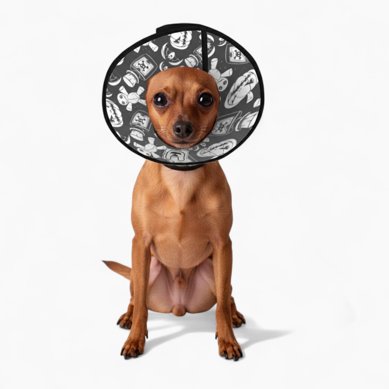 Charlie - Soft Dog Cone & Elizabethan Collar