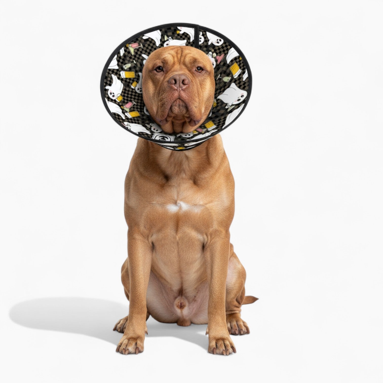 Luna - Soft Dog Cone & Elizabethan Collar