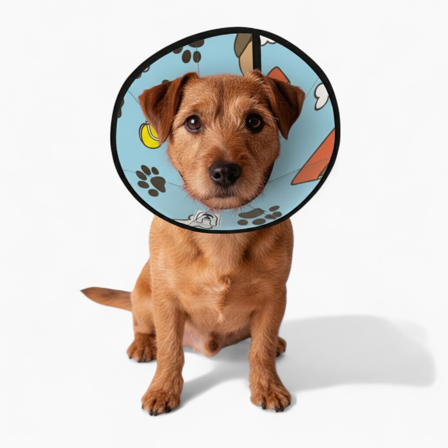 Teddy - Soft Dog Cone & Elizabethan Collar