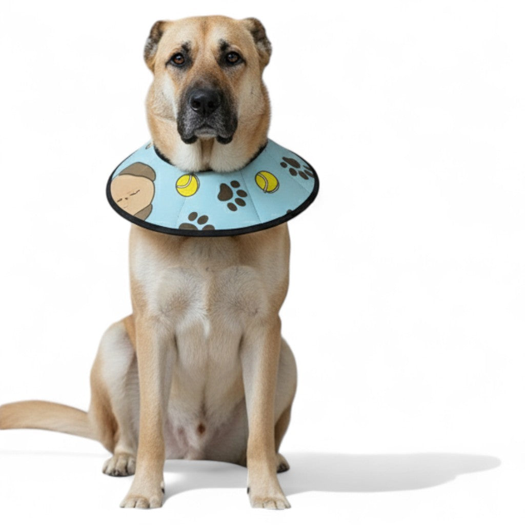 Teddy - Soft Dog Cone & Elizabethan Collar