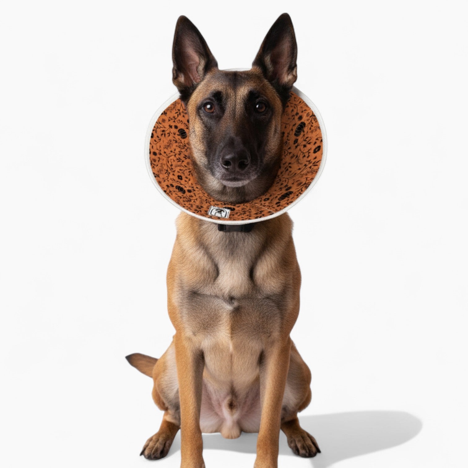 Daisy - Soft Dog Cone & Elizabethan Collar