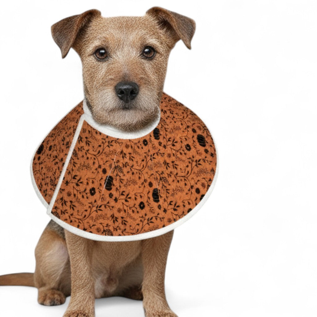 Daisy - Soft Dog Cone & Elizabethan Collar