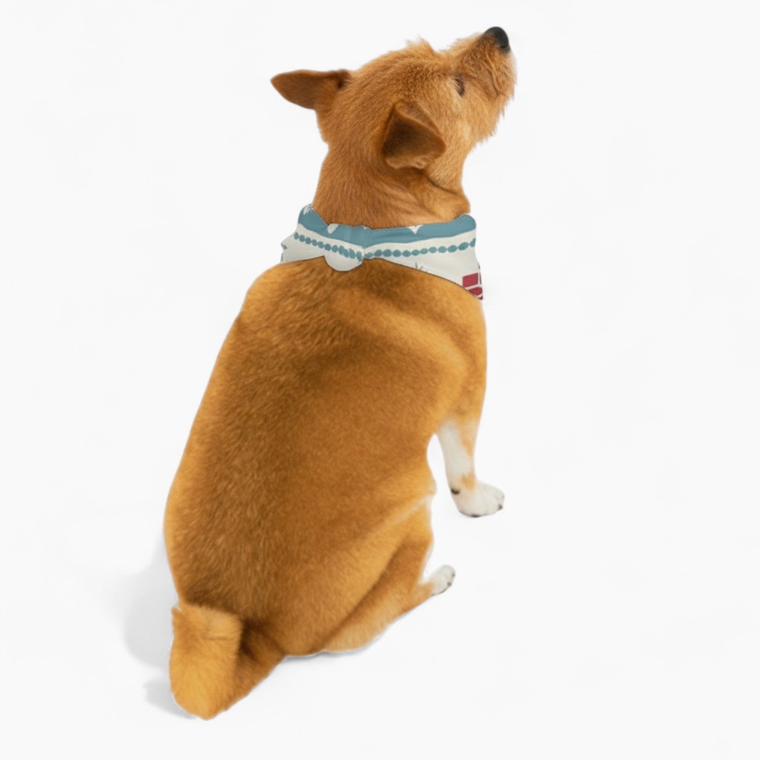 Honey - Stylish Dog Bandana