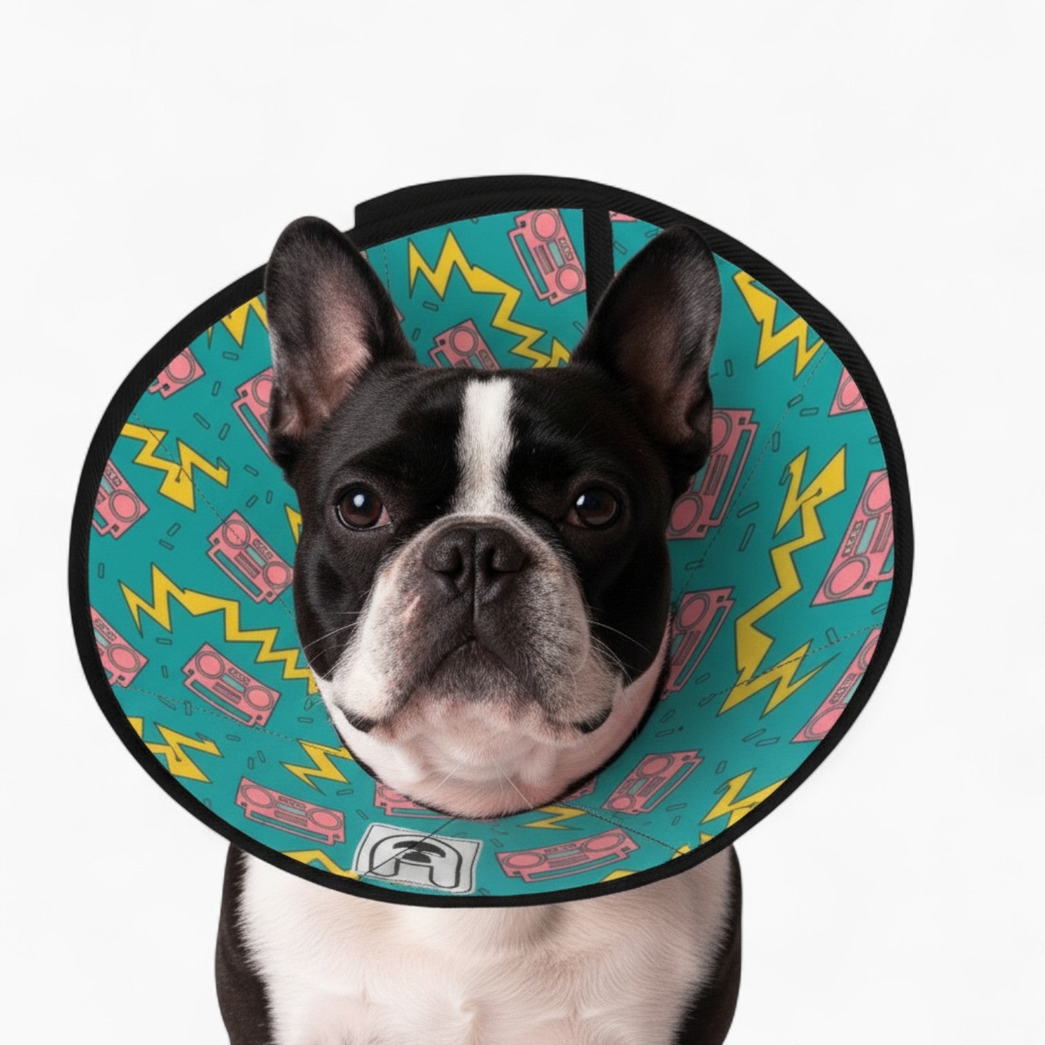 Nala - Soft Dog Cone & Elizabethan Collar