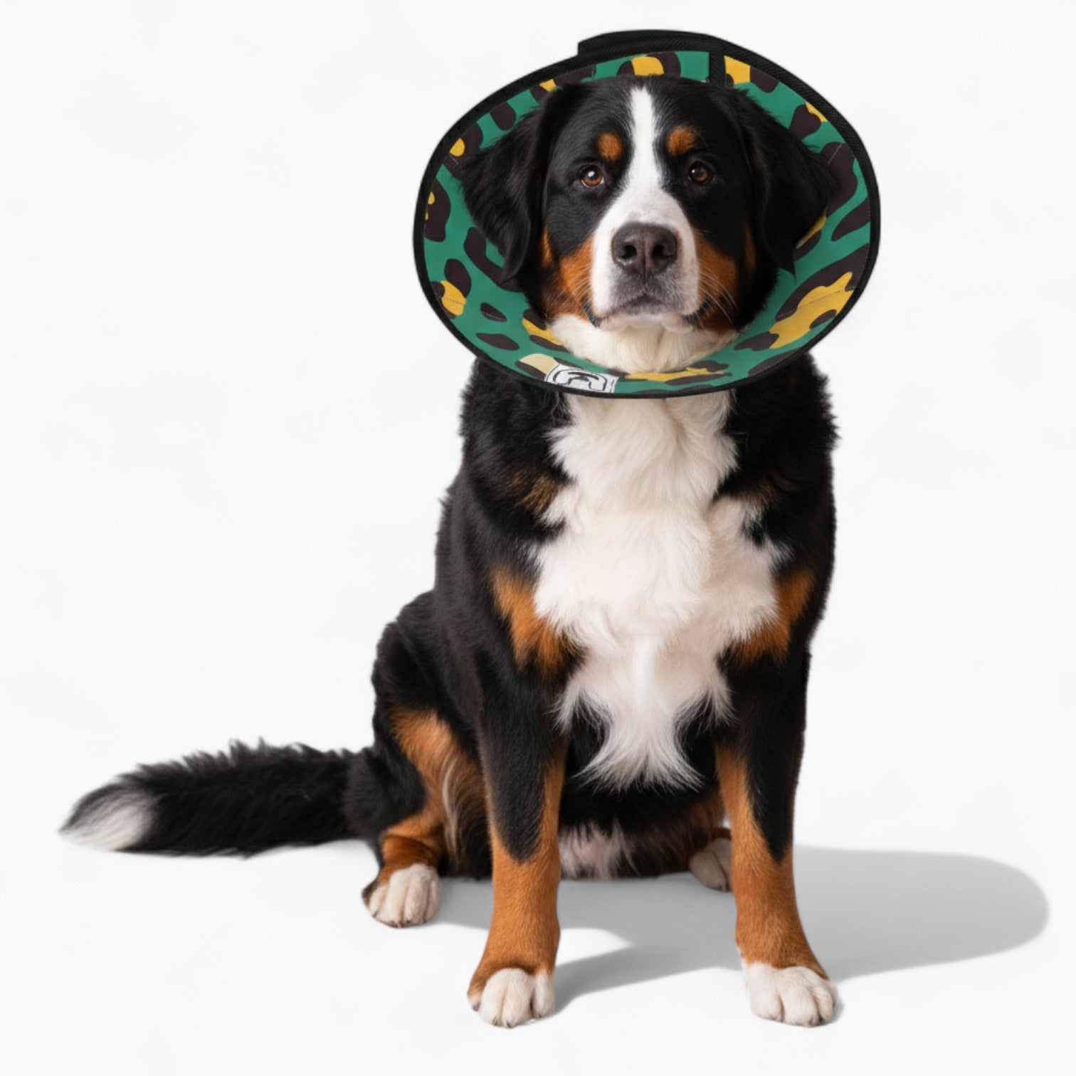 Coco - Soft Dog Cone & Elizabethan Collar