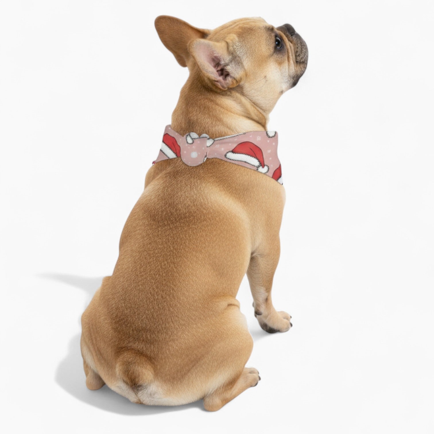 Rossi - Stylish Dog Bandana