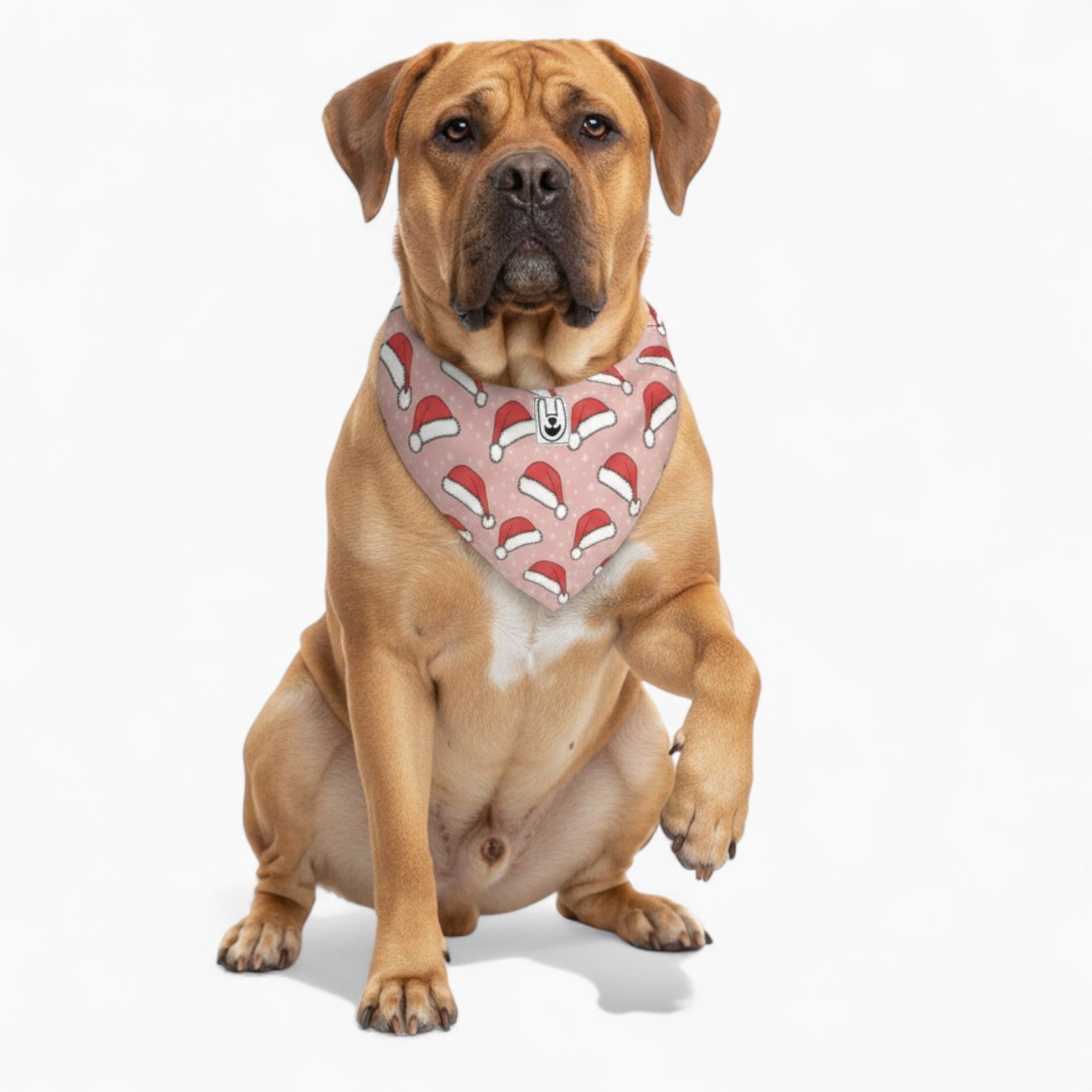 Rossi - Stylish Dog Bandana